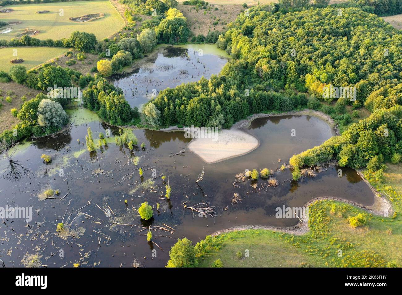 Hellmoor, Feuchtgebiet, bei Niedrigwasser im September 2022, Laemmerhof, Deutschland, Schleswig-Holstein, Herzogtum Lauenburg, Panten Stockfoto