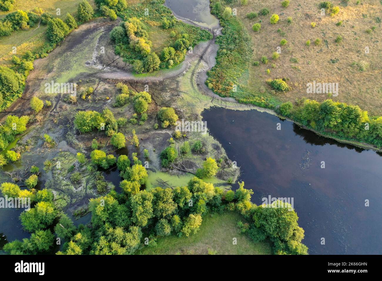 Hellmoor, Feuchtgebiet, bei Niedrigwasser im September 2022, Laemmerhof, Deutschland, Schleswig-Holstein, Herzogtum Lauenburg, Panten Stockfoto