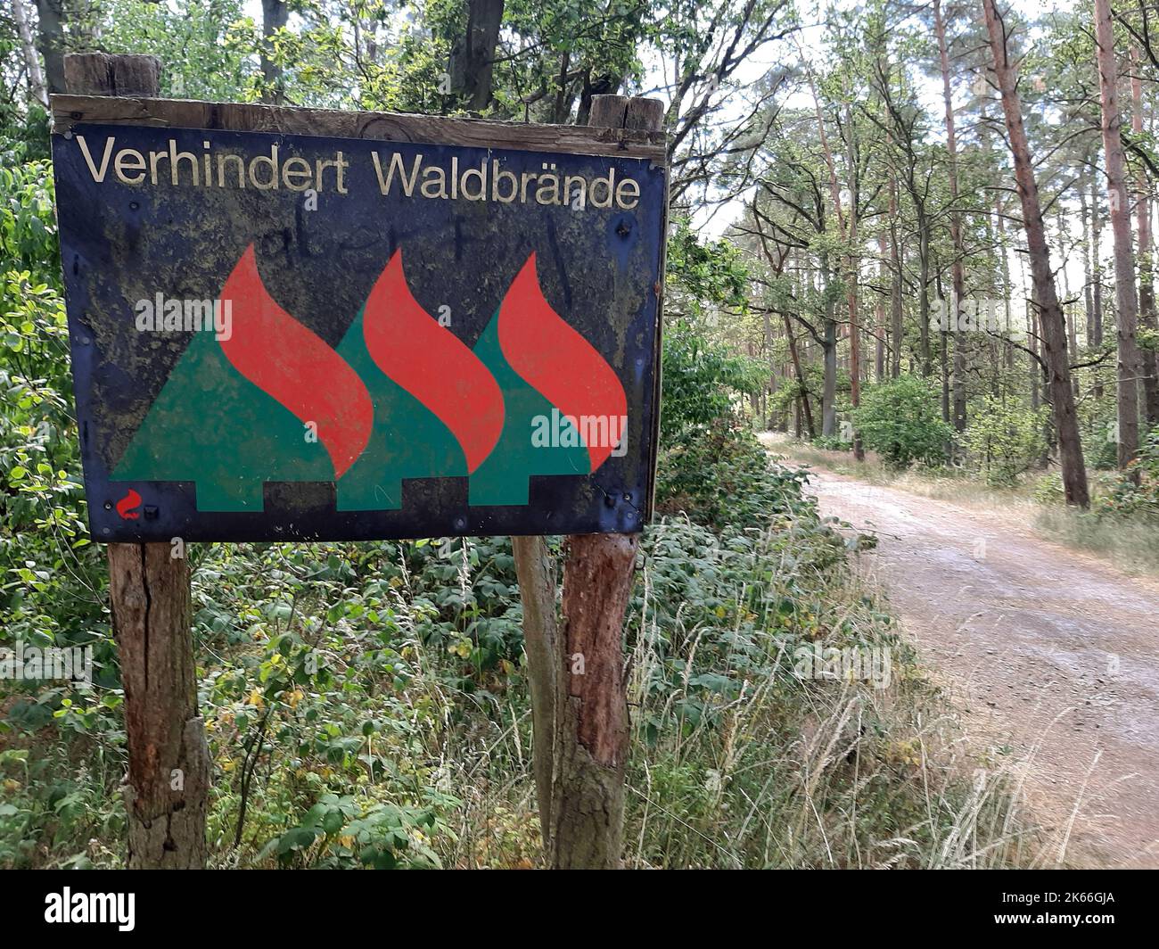 Hinweisschild zur Verhinderung von Waldbränden, Deutschland, Brandenburg Stockfoto