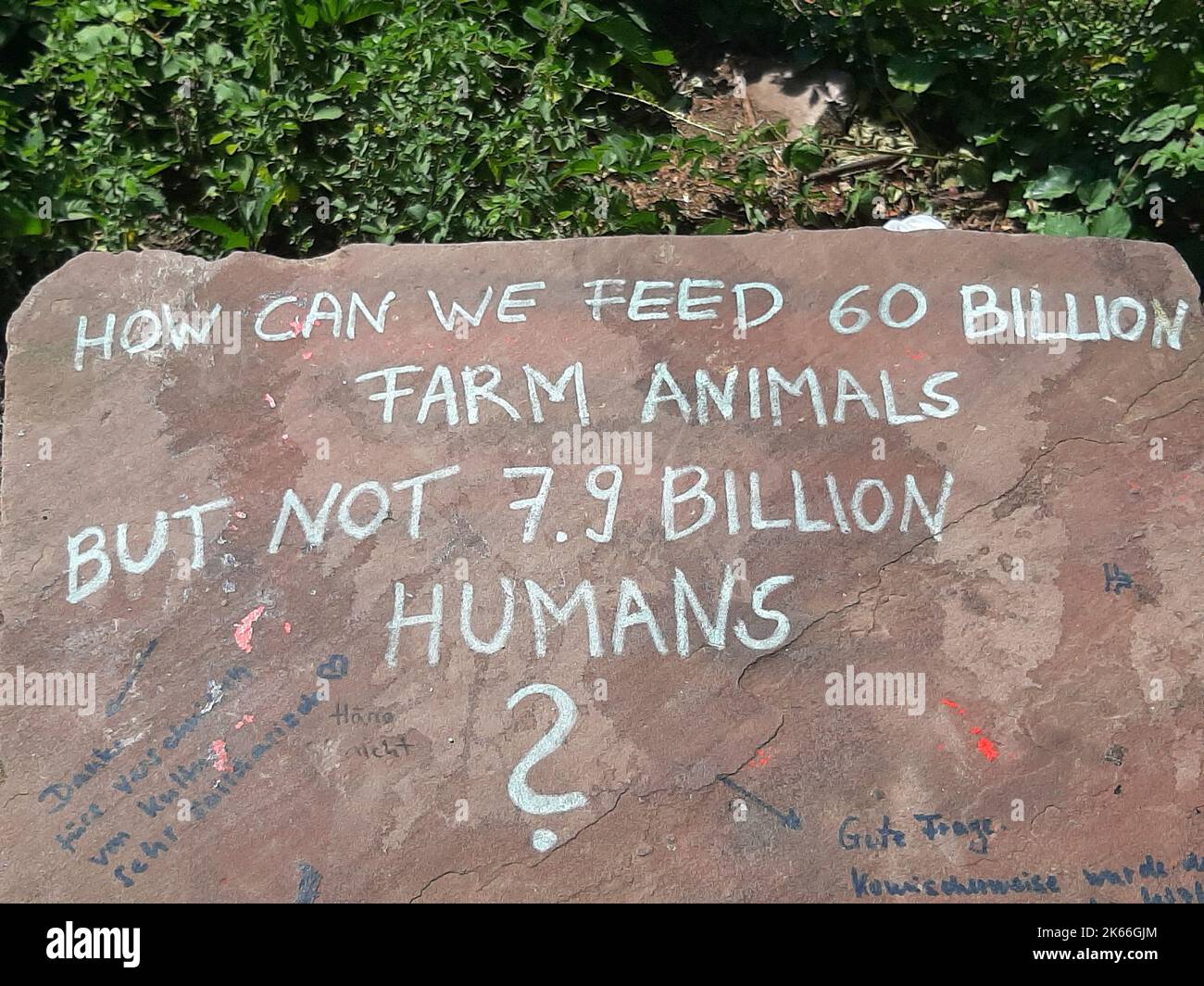 Nachdenkliche Frage auf Englisch über das globale Hungerproblem und unseren Fleischkonsum auf einer Steintafel , Deutschland Stockfoto