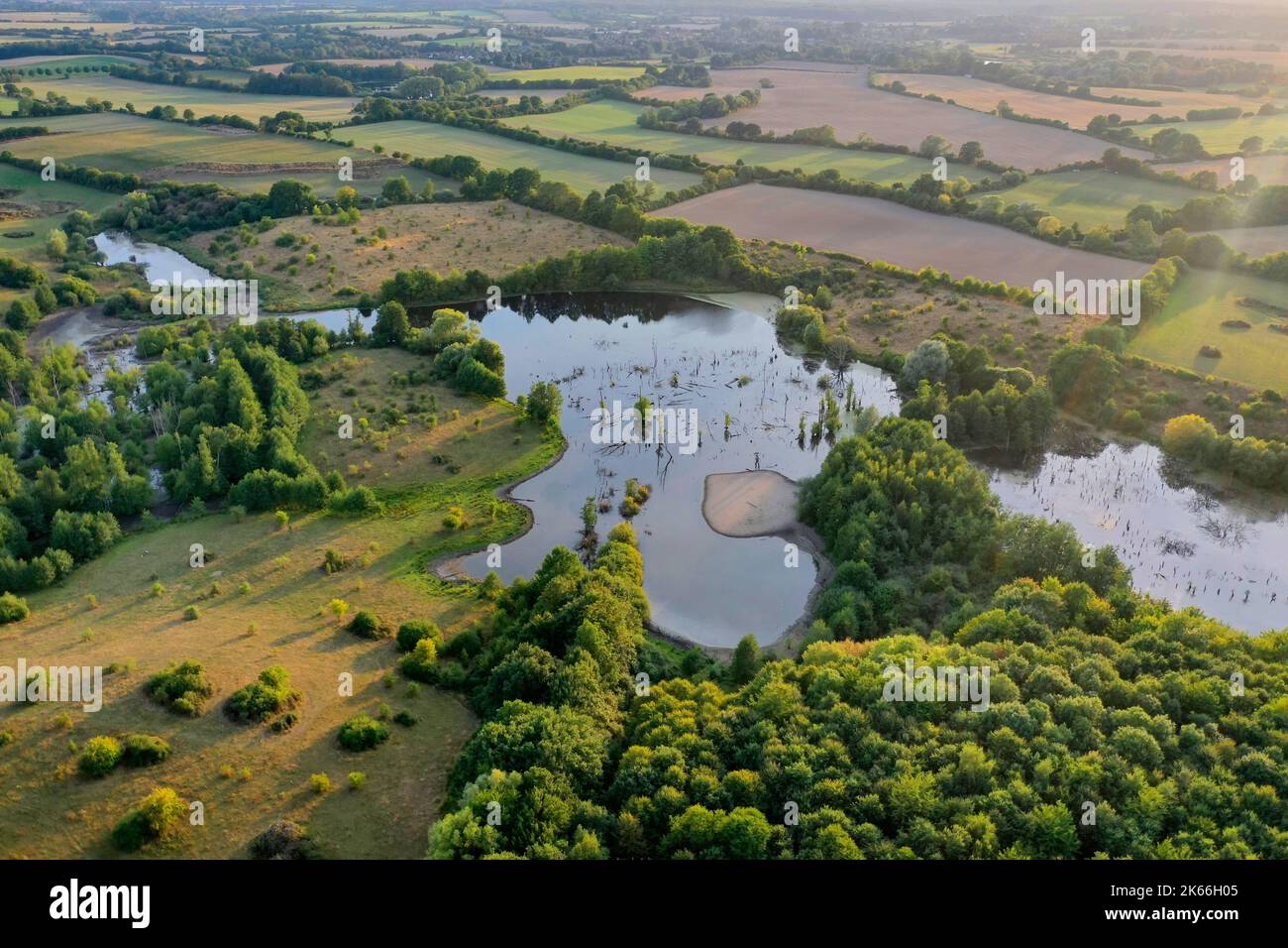 Hellmoor, Feuchtgebiet, bei Niedrigwasser im September 2022, Laemmerhof, Deutschland, Schleswig-Holstein, Herzogtum Lauenburg, Panten Stockfoto