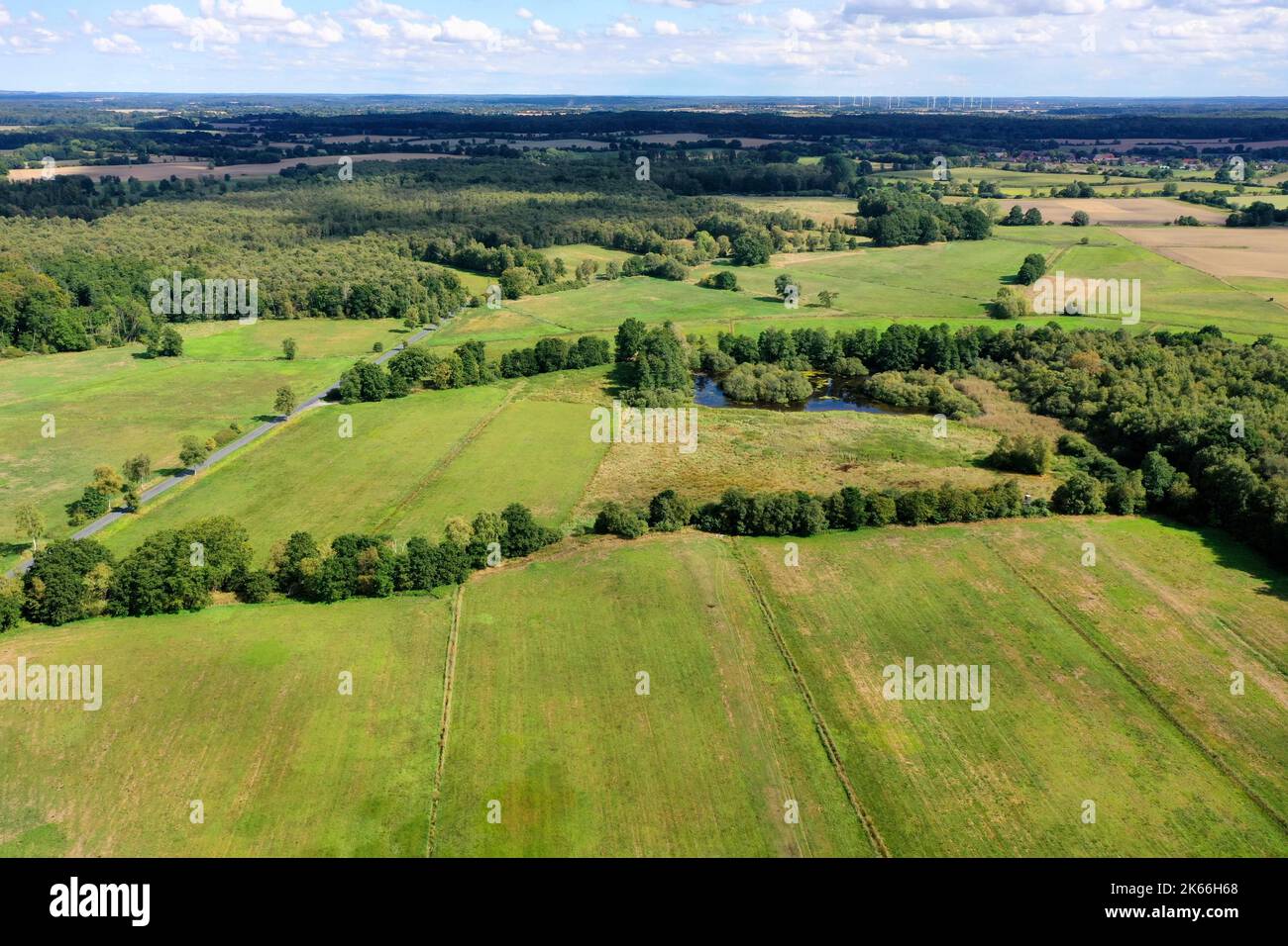 Wiesen am Koberg Moor, Luftaufnahme, Deutschland, Schleswig-Holstein Stockfoto