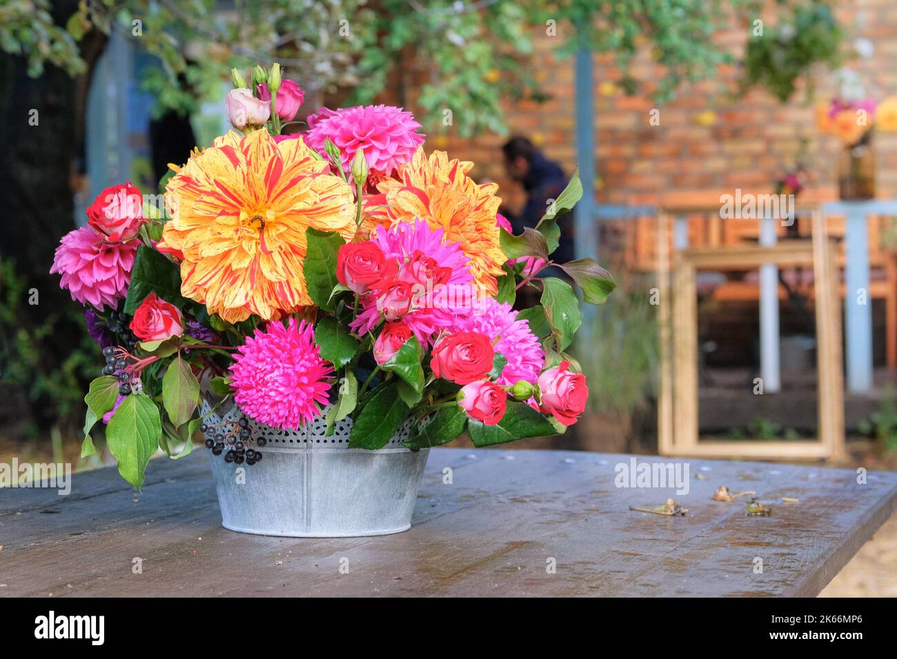 Rosen, Aster, Dahilia in Vase im Garten auf einem Holztisch. Sonniger Tag. Helles, ländliches Design. Stockfoto