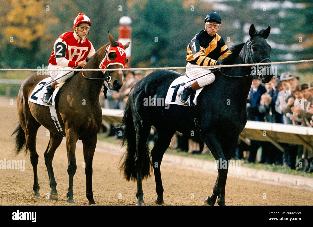 STEVENS, MCCARRON, SEABISCUIT, 2003 Stockfoto