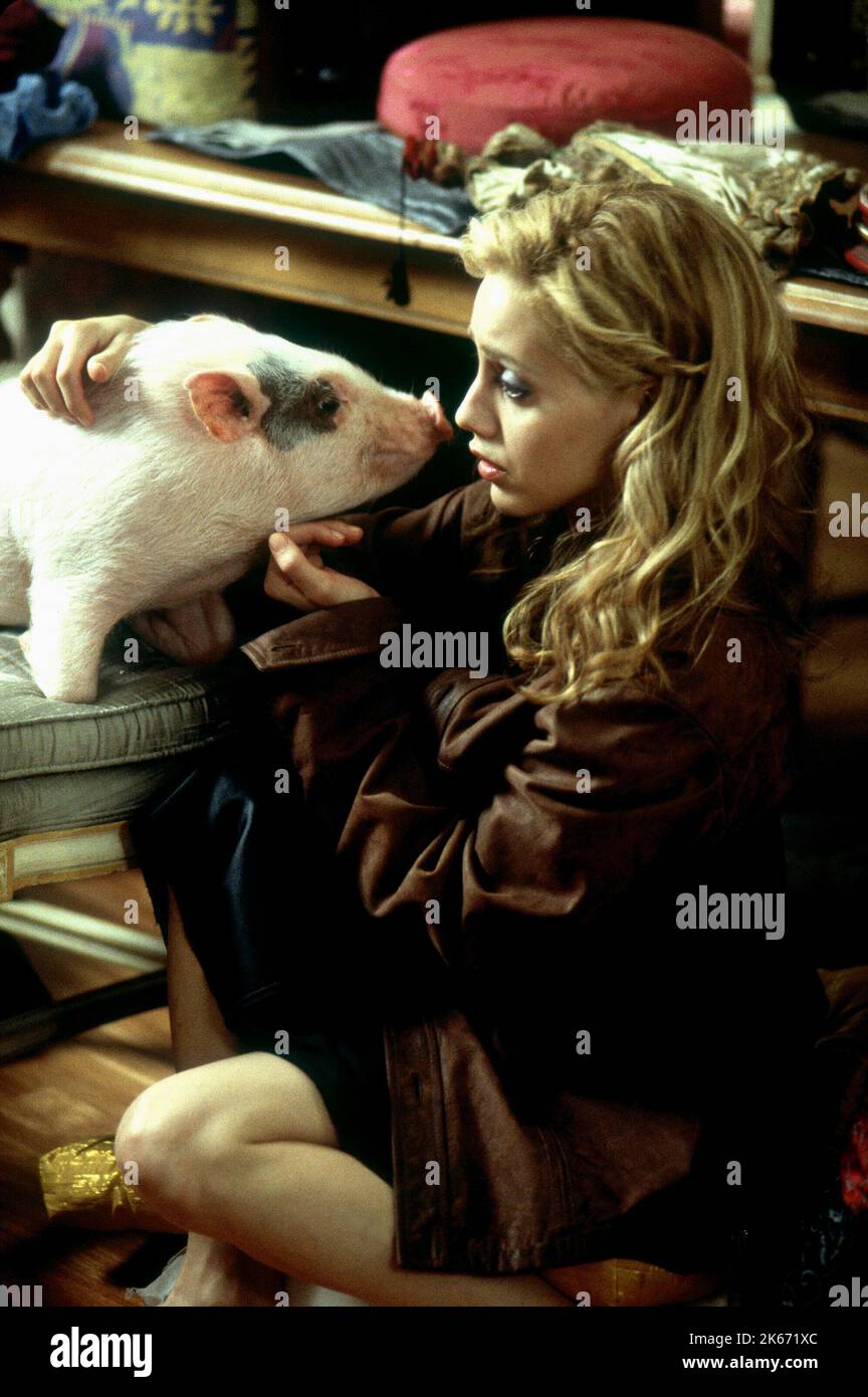 BRITTANY MURPHY MIT SCHWEIN, UPTOWN MÄDCHEN, 2003 Stockfoto