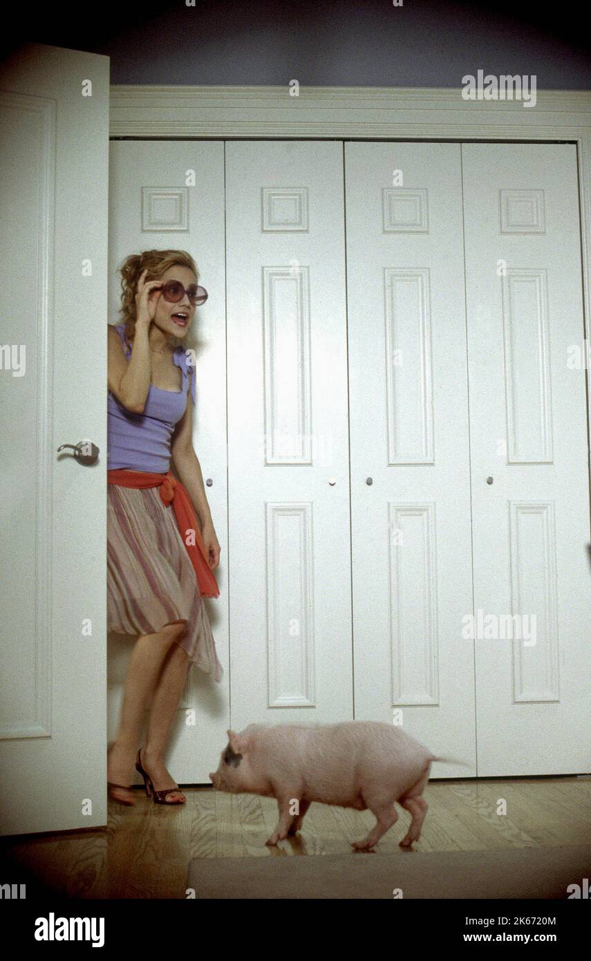BRITTANY MURPHY MIT SCHWEIN, UPTOWN MÄDCHEN, 2003 Stockfoto