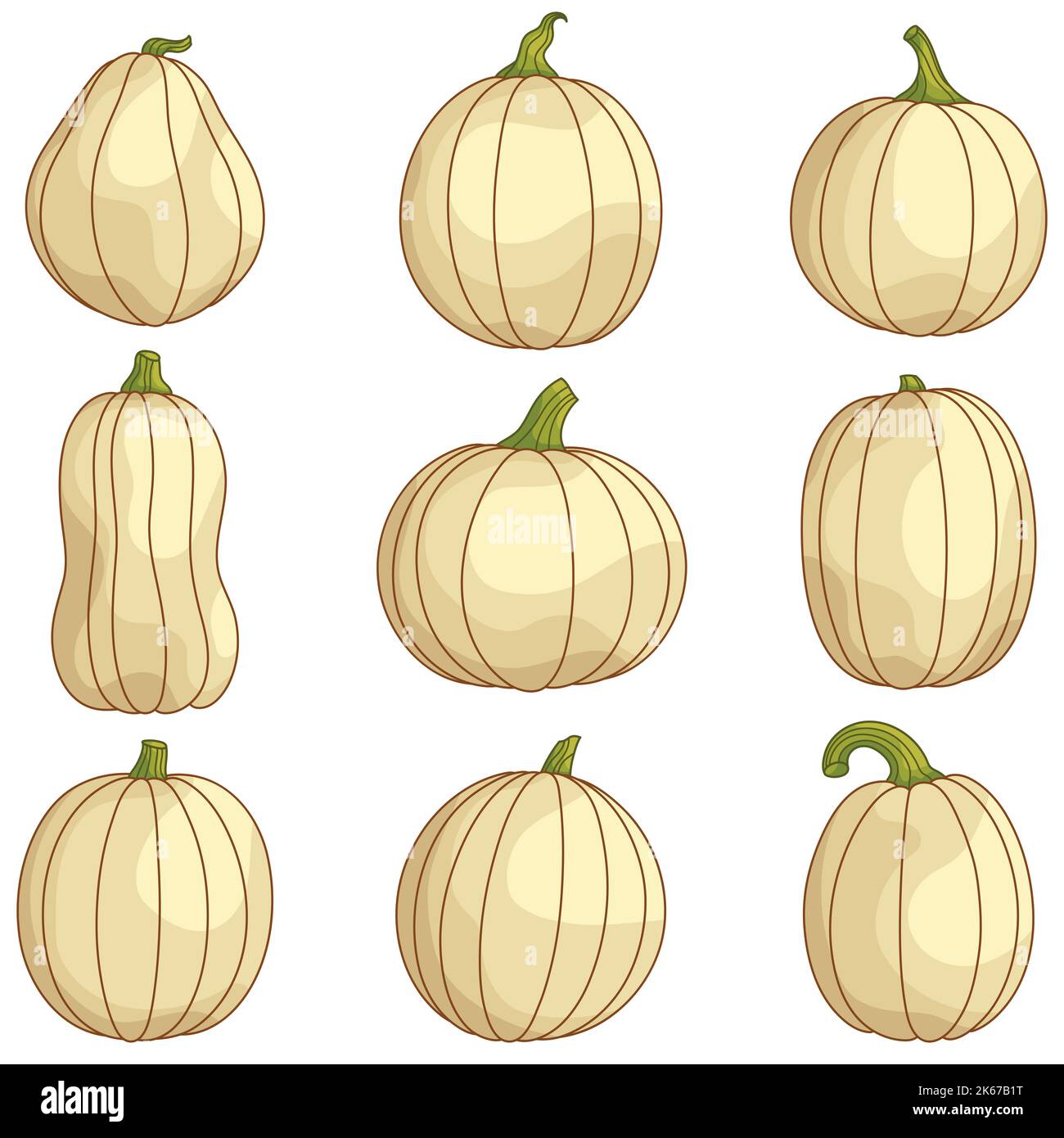 Sammlung von weißen Kürbissen für Halloween, Erntedankfest, Erntedankfest. Set von niedlichen Kürbissen in verschiedenen Formen und Größen. Cartoon-Illustrationen für Urlaubsdekor. Clipart für Karte, Poster. Stock Vektor