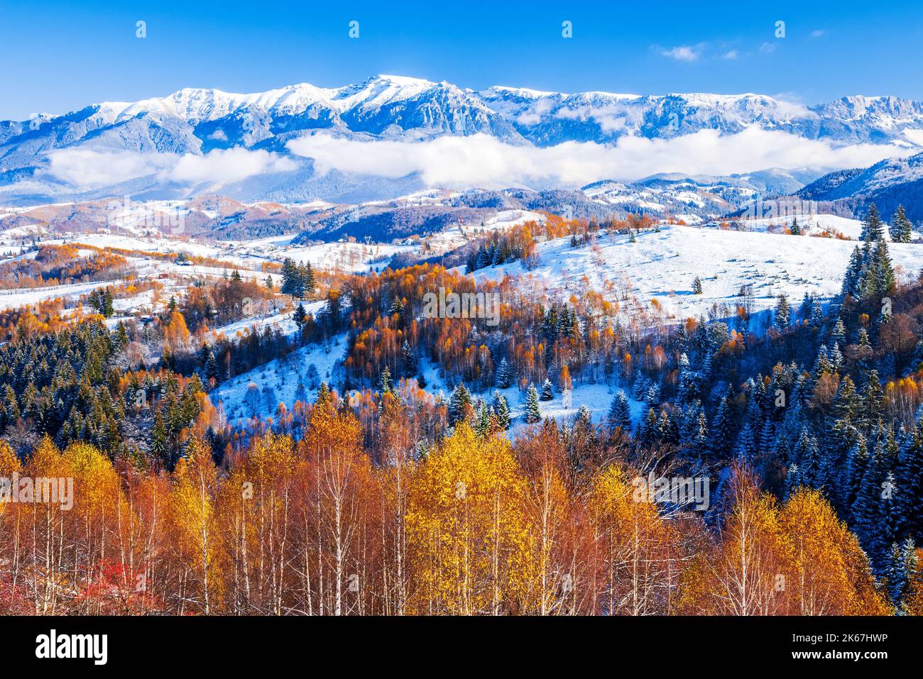 Sirnea, Rumänien. Wunderschöne Farben im Spätherbst, die von Schnee bedeckt sind, malerische Landschaft mit Bucegi-Gebirge, touristische Region Rucar-Bran, Karpaten. Stockfoto