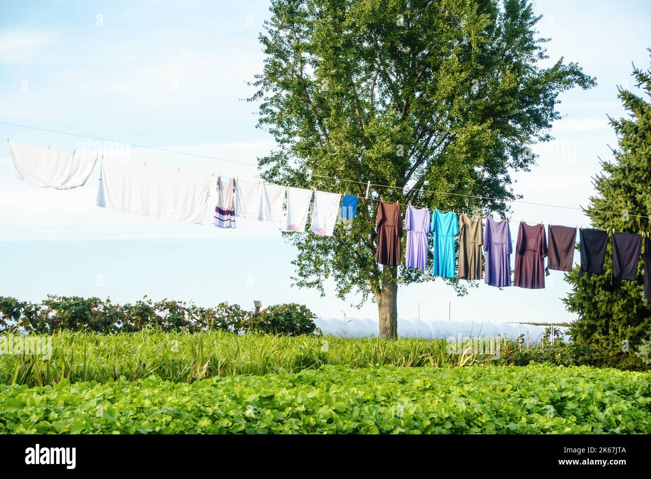 Verschiedene farbige Kleider trocknen auf dem Seil in Farm in Lancaster, Pennsylvania, USA. Stockfoto