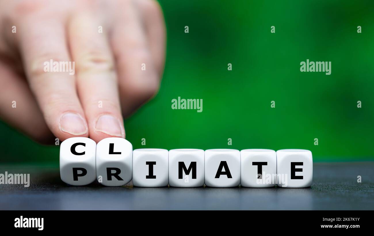 Primata und Klima Stockfoto