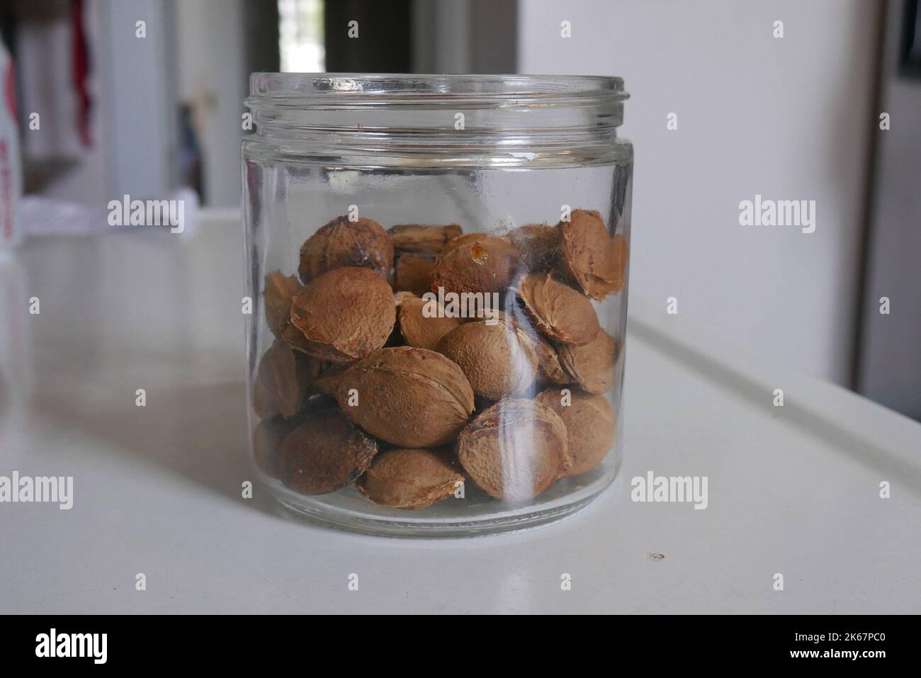 Ein klares Glas mit Aprikosenkernen auf einer weißen Emaille-Arbeitsplatte Stockfoto