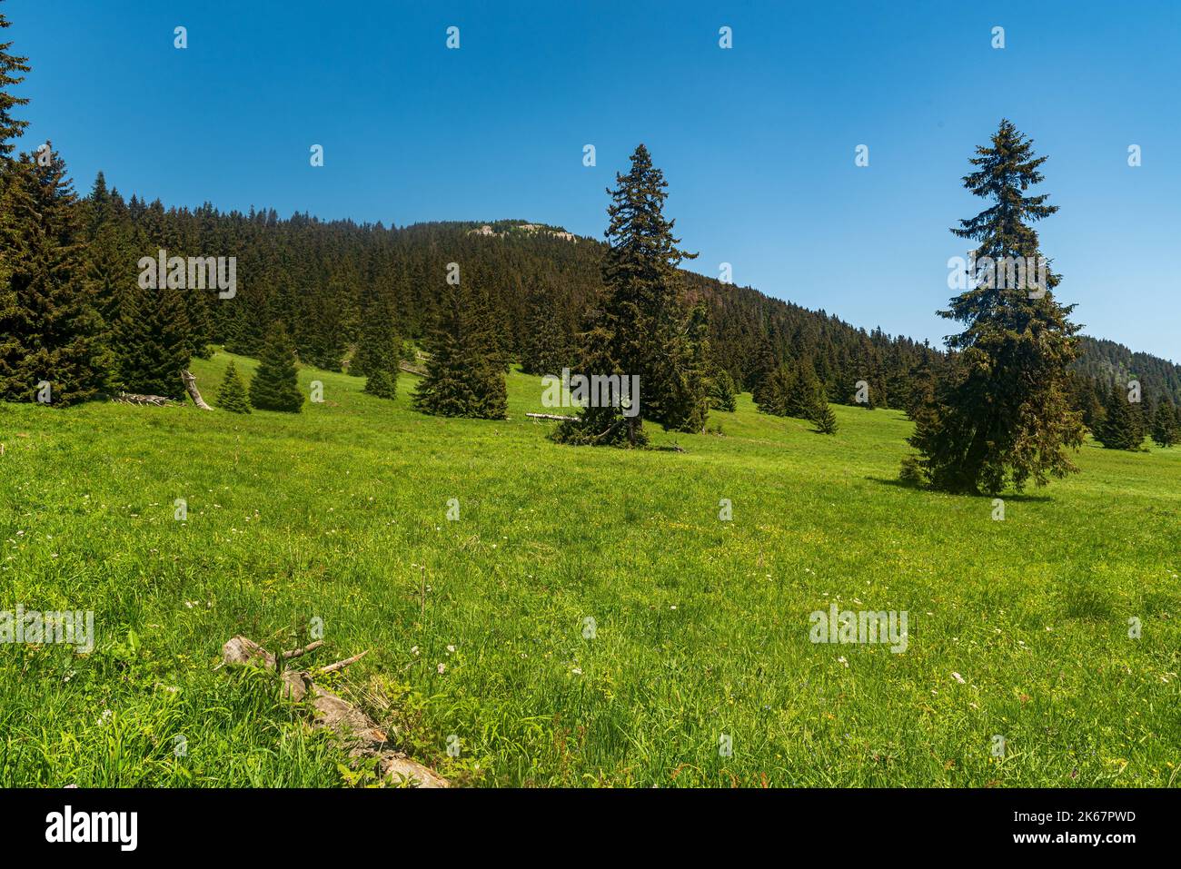 Stredna polana Wiese mit Velky Choc Hügel oben in Chocske vrchy Berge in der Slowakei während schönen Frühlingstag Stockfoto