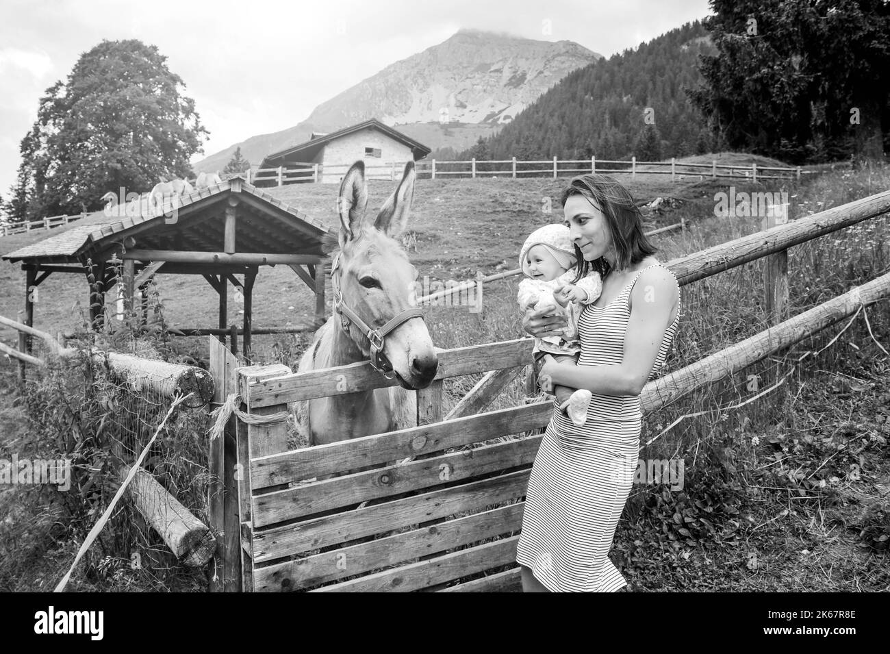 Mama mit ihr Tochter Spaß auf Farm Ranch und Treffen eines Esels - Haustherapie-Konzept in der Landschaft mit Esel in der pädagogischen Farm - Pet the Stockfoto