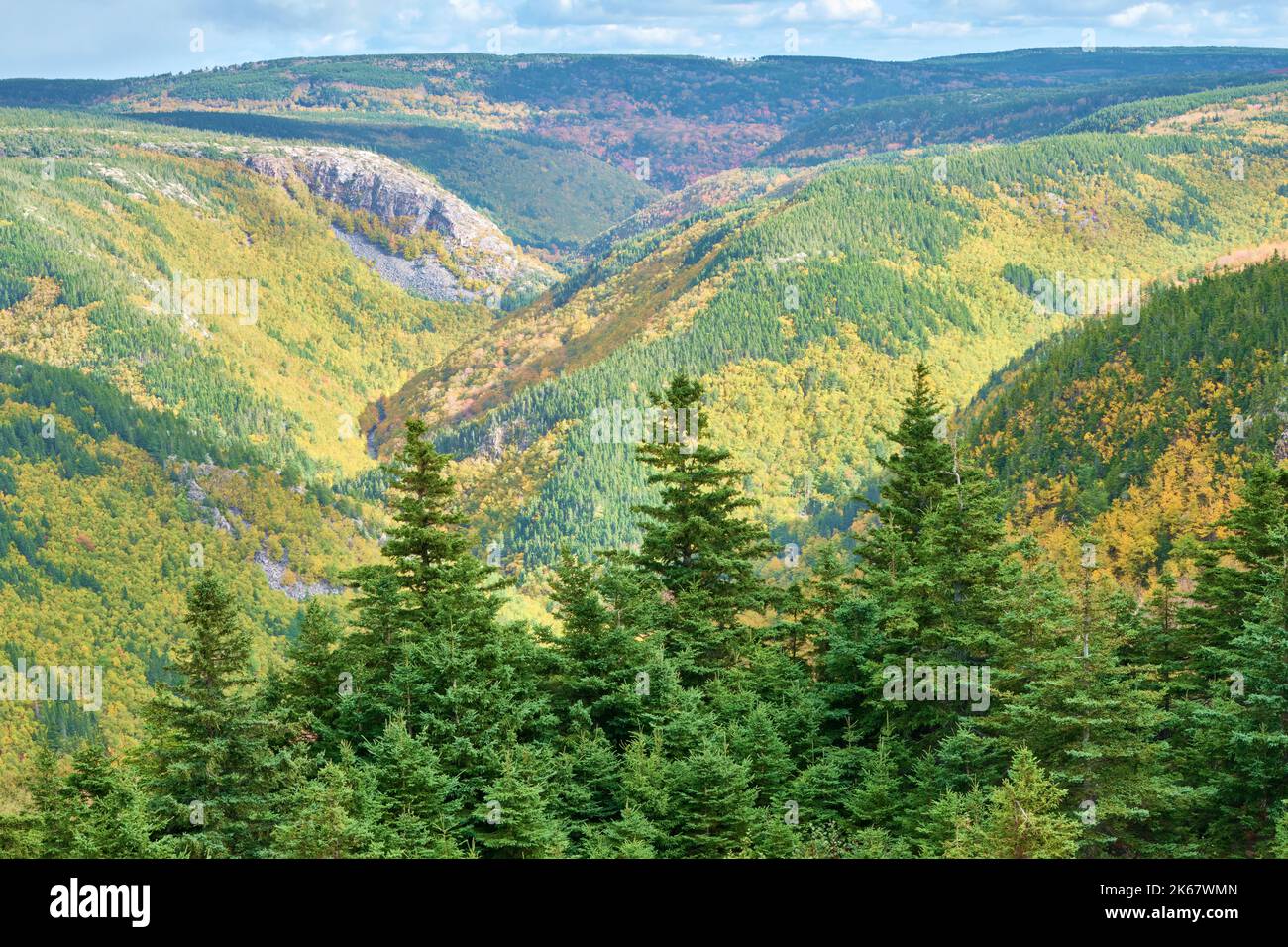 Der Cape Breton Highlands National Park ist ein beliebtes Touristenziel, vor allem in den Herbstmonaten, wenn die Blätter ihre Farbe ändern. 2022 wurde die t Stockfoto