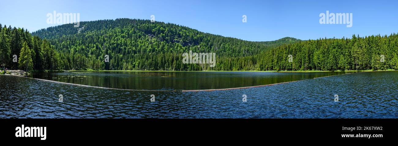 Blick auf den Großen Arbersee im Bayerischen Wald Stockfoto