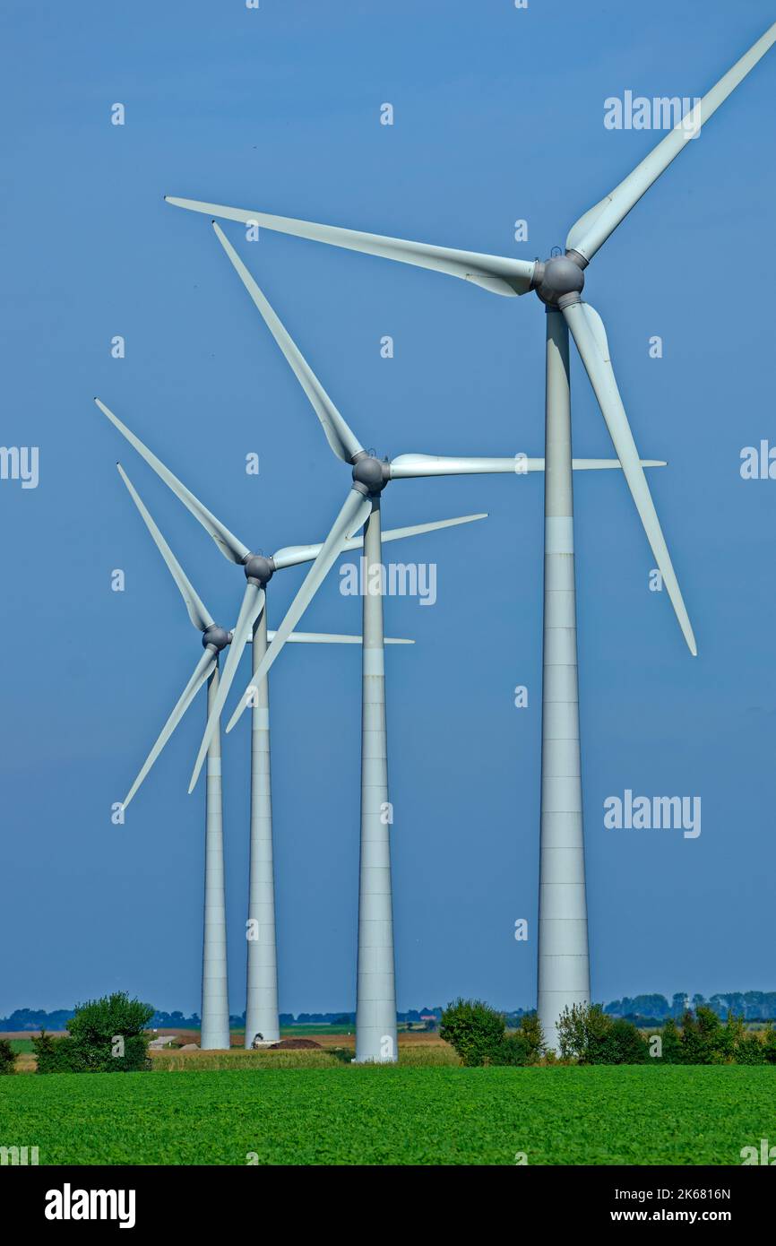 In einem ländlichen Gebiet installierte Windenergieanlagen. Stockfoto