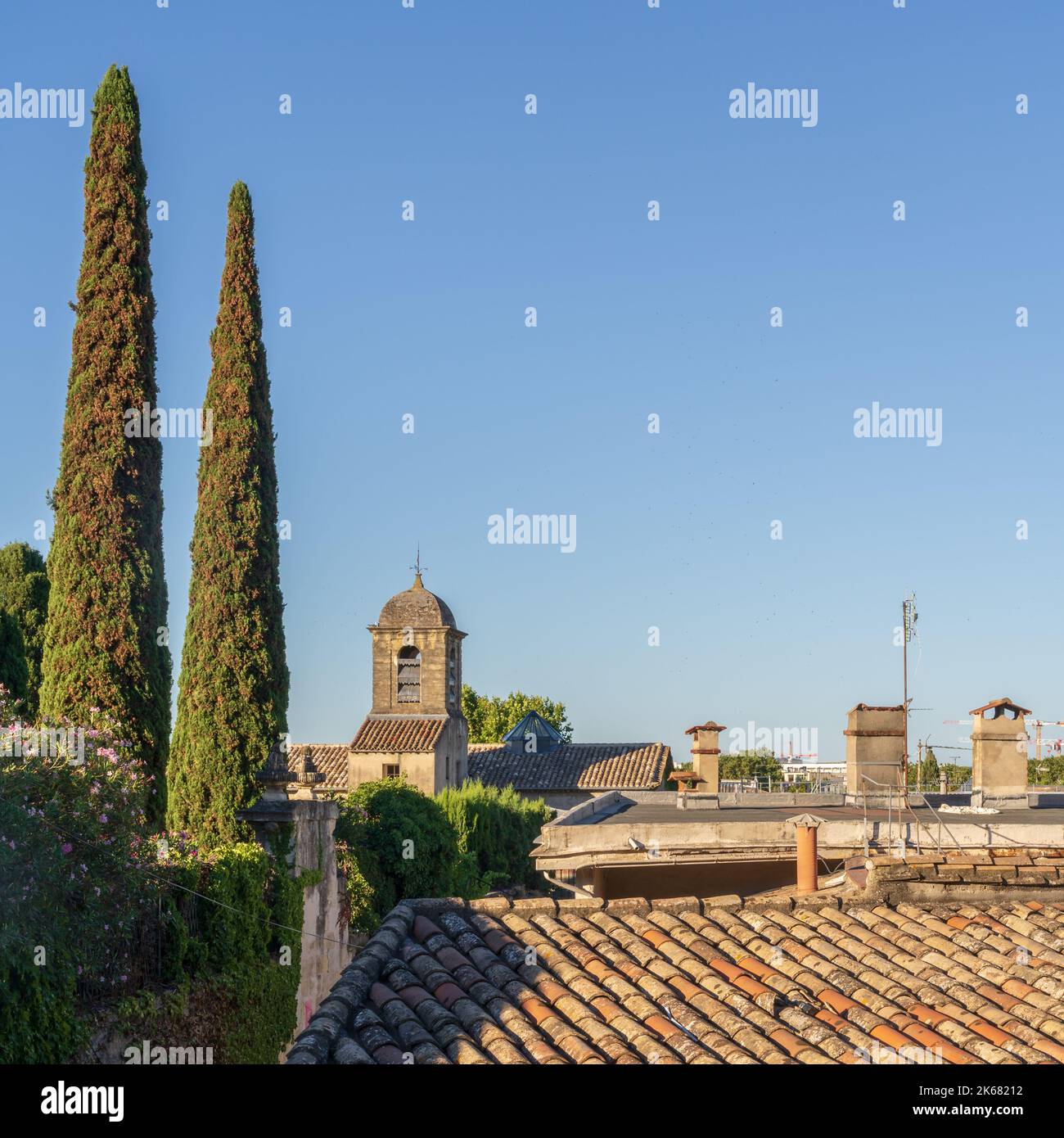 Malerische Aussicht auf die traditionellen Dächer von Montpellier, Frankreich, am Sommermorgen mit blauem Himmel und Kirchturm der St. Eulalie-Kirche und zypriotischen Bäumen Stockfoto