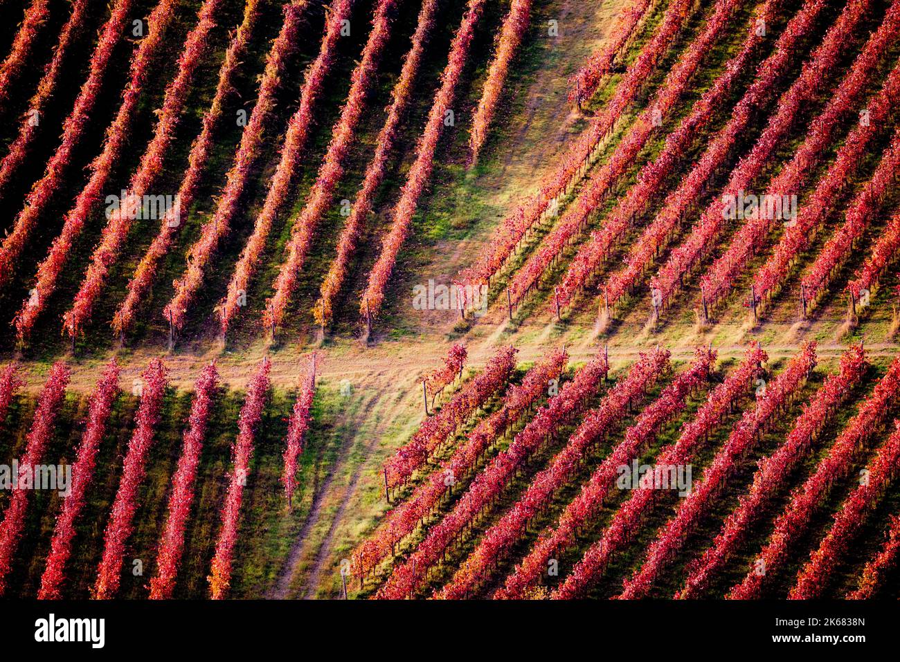 Weinberge und Herbstlandschaft, sanfte Hügel und Herbstfarben Stockfoto