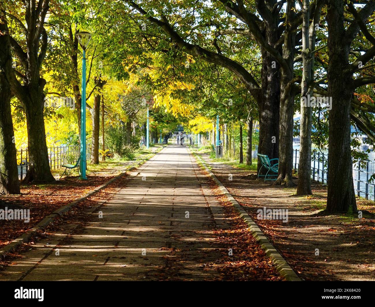 Île aux Cygnes, eine kleine künstliche Insel an der seine in Paris, Frankreich, im 15.. Arrondissement, mit herbstlichen Farben. Stockfoto