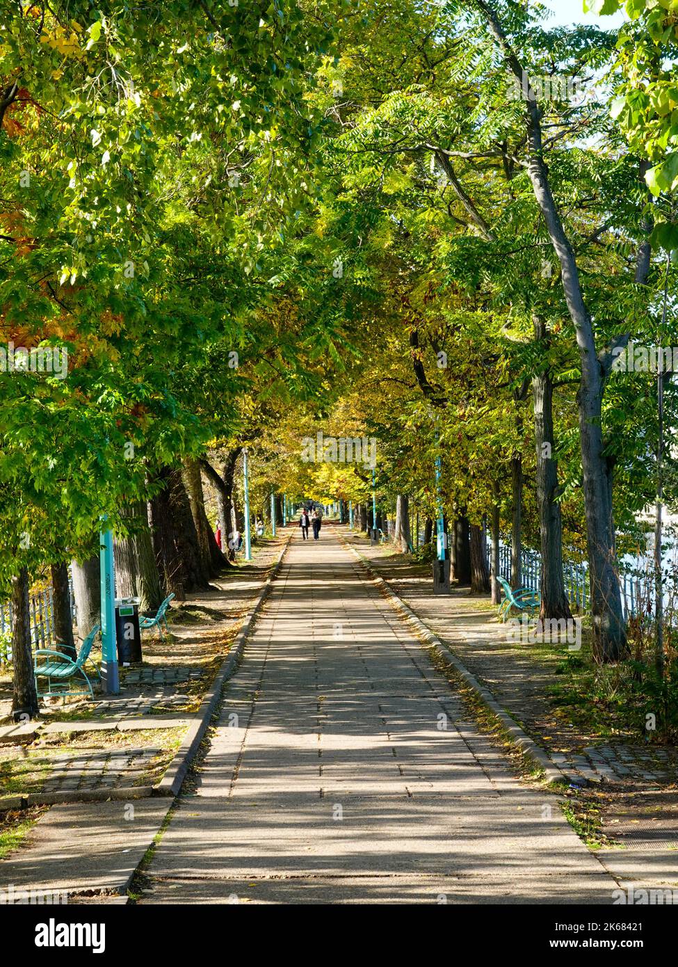 Île aux Cygnes, eine kleine künstliche Insel an der seine in Paris, Frankreich, im 15.. Arrondissement, mit herbstlichen Farben. Stockfoto