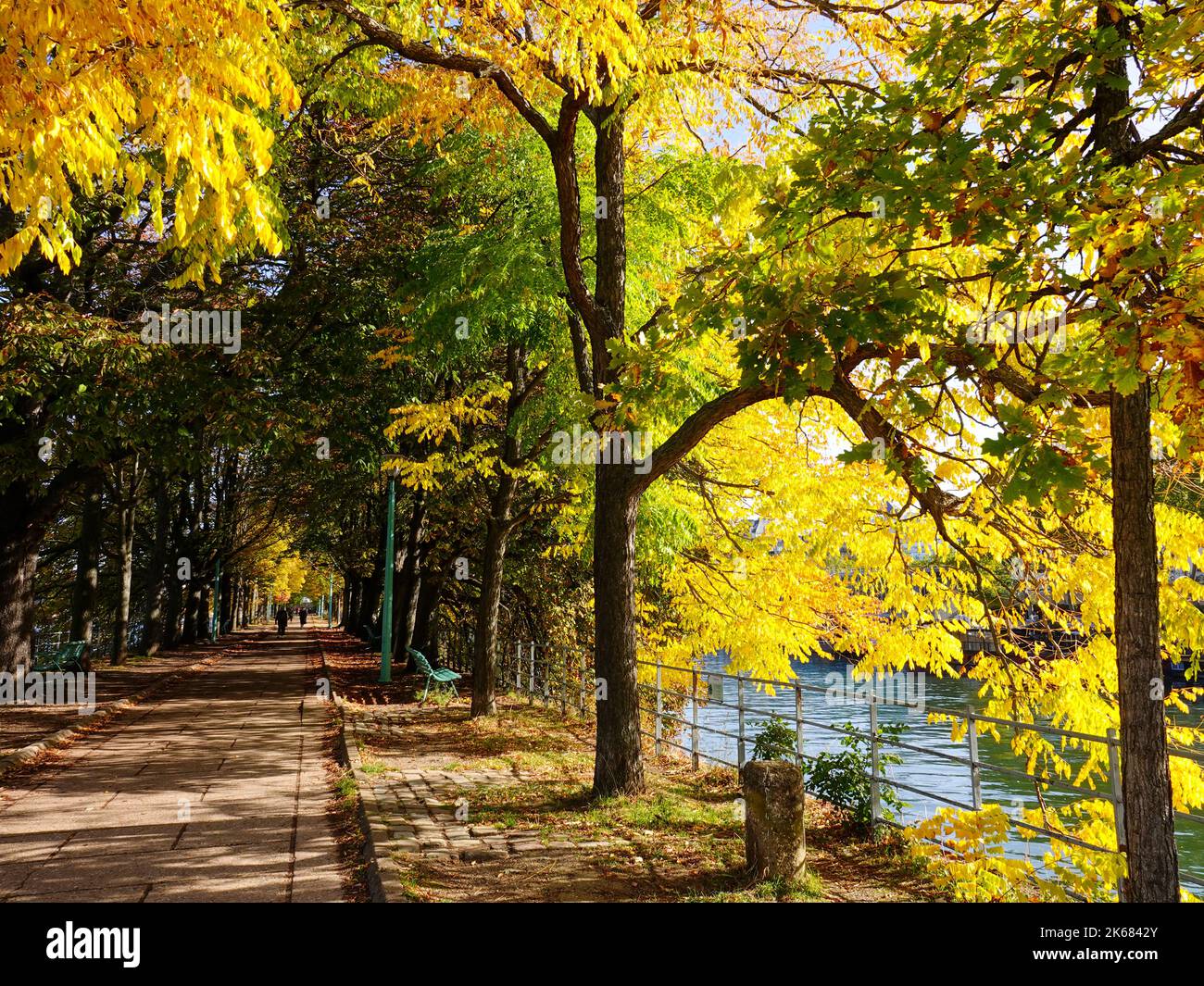 Île aux Cygnes, eine kleine künstliche Insel an der seine in Paris, Frankreich, im 15.. Arrondissement, mit herbstlichen Farben. Stockfoto