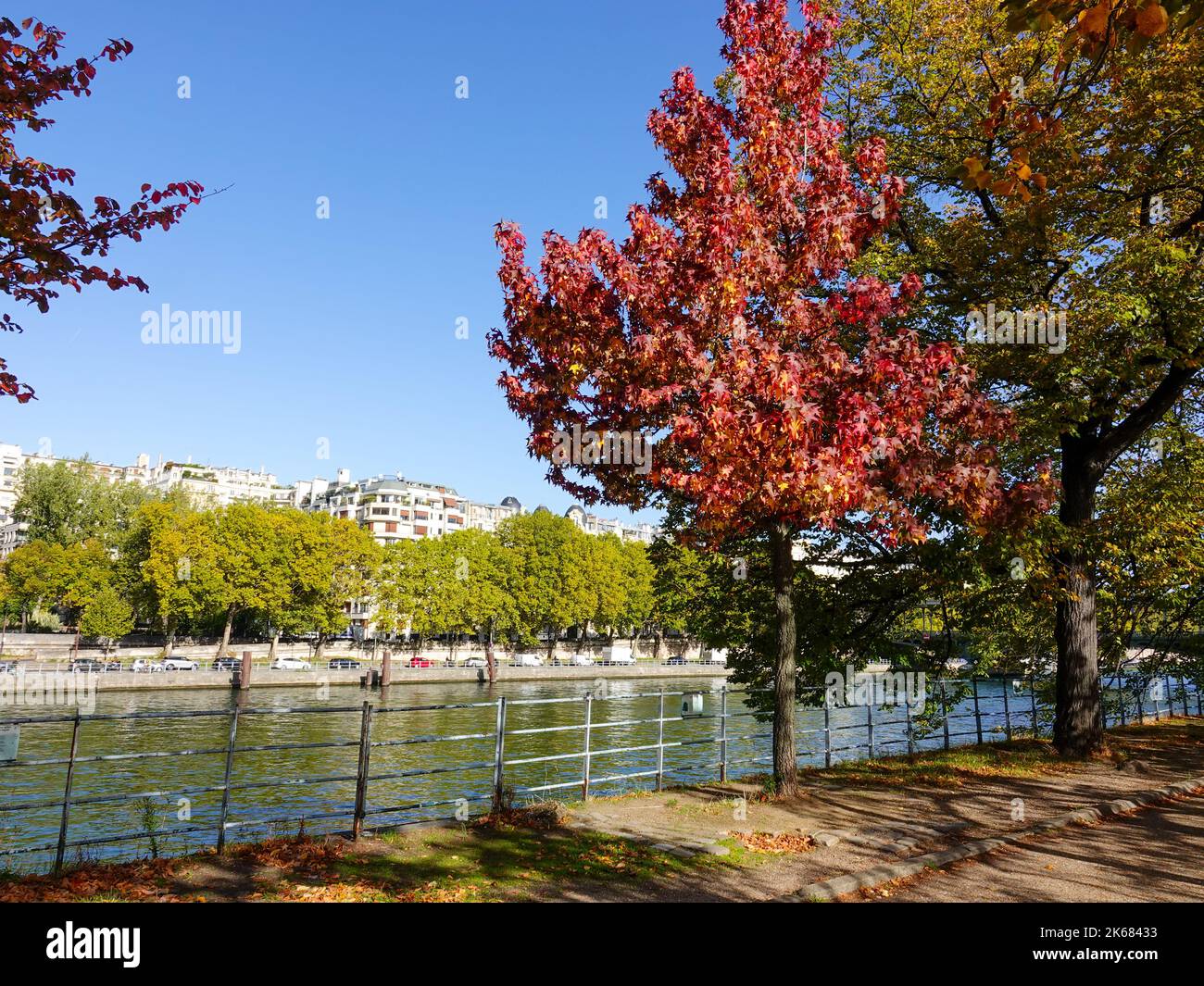 Île aux Cygnes, eine kleine künstliche Insel an der seine in Paris, Frankreich, im 15.. Arrondissement, mit herbstlichen Farben. Stockfoto