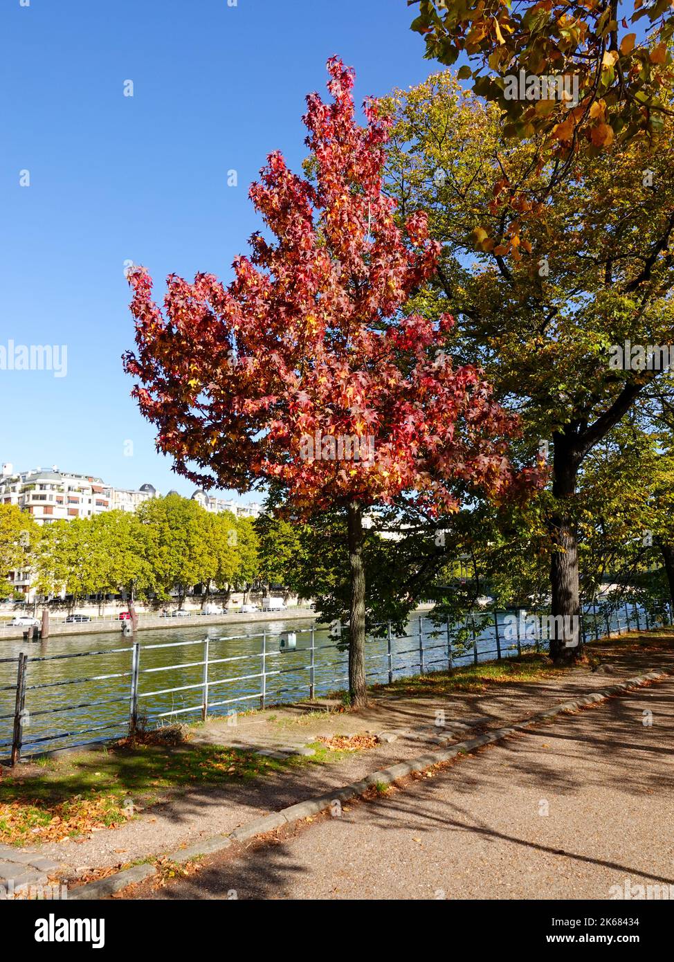 Île aux Cygnes, eine kleine künstliche Insel an der seine in Paris, Frankreich, im 15.. Arrondissement, mit herbstlichen Farben. Stockfoto