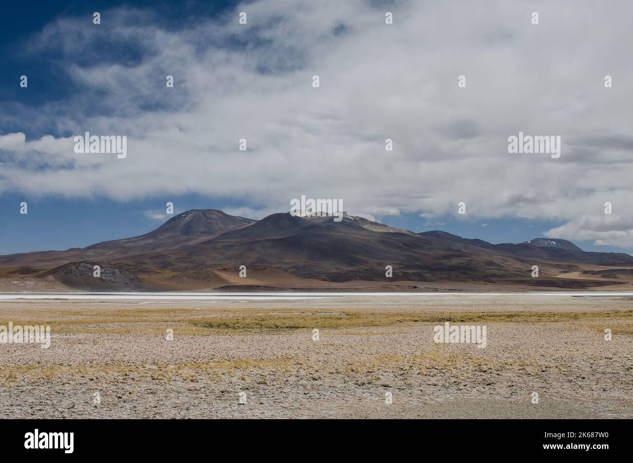 Atacama-Wüste, Dezember 2014. Fotograf: Ale Espaliat Stockfoto