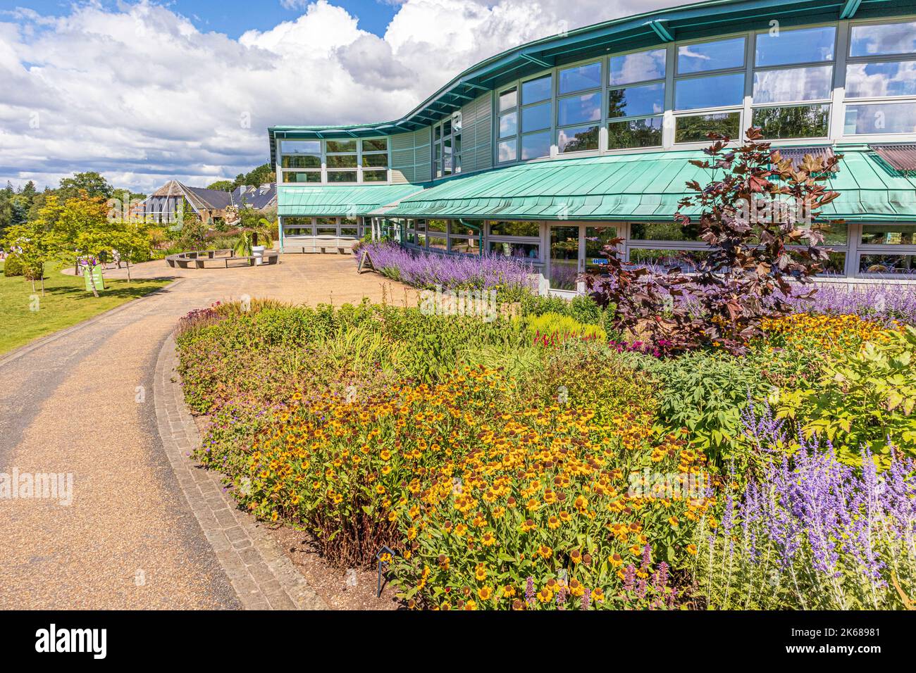 Die Bibliothek im RHS Garden Harlow Carr in der Nähe von Harrogate, Yorkshire, Großbritannien Stockfoto