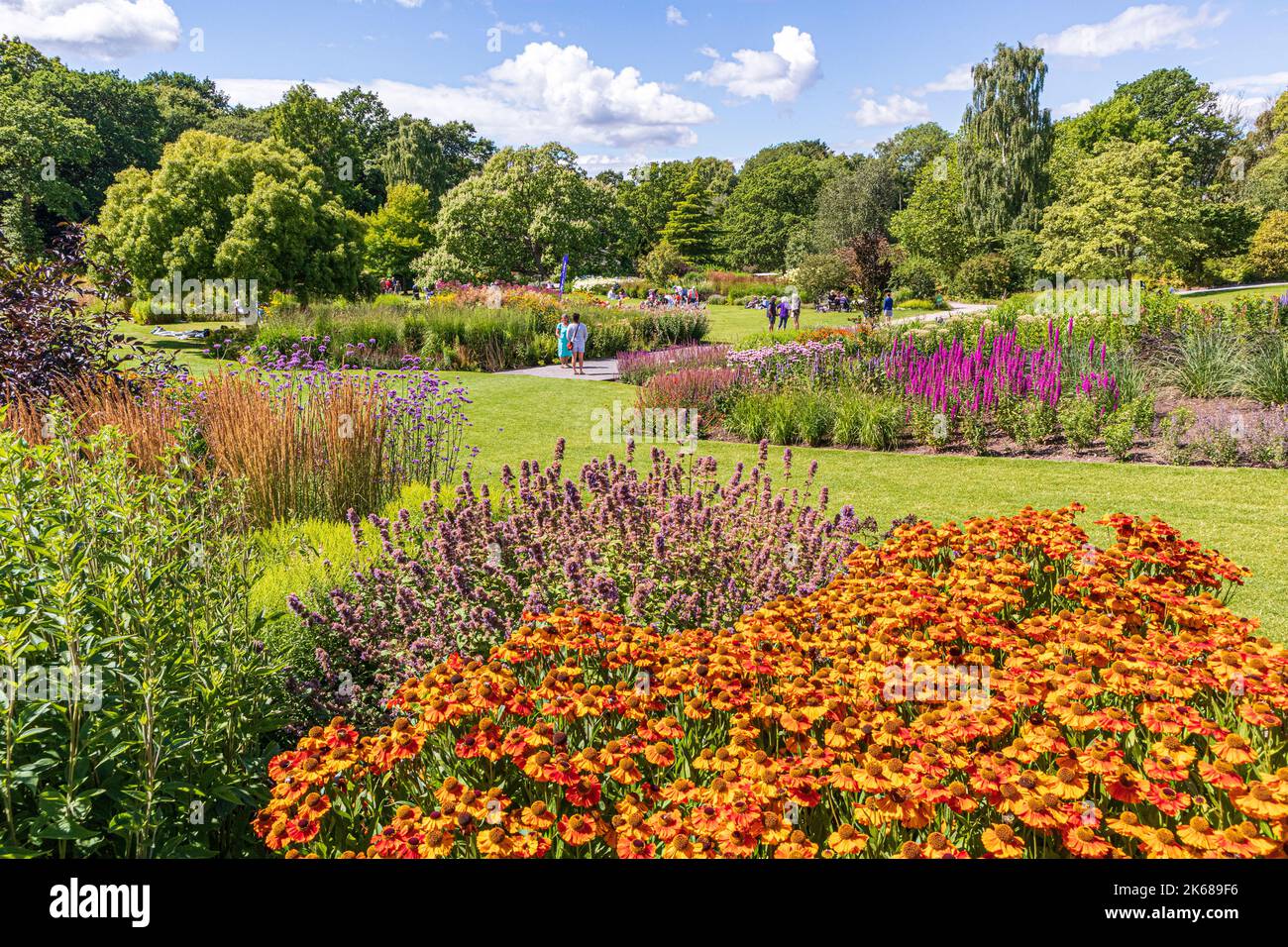 Gemischte Sommerblumen Grenzen im RHS Garden Harlow Carr in der Nähe von Harrogate, Yorkshire, Großbritannien Stockfoto