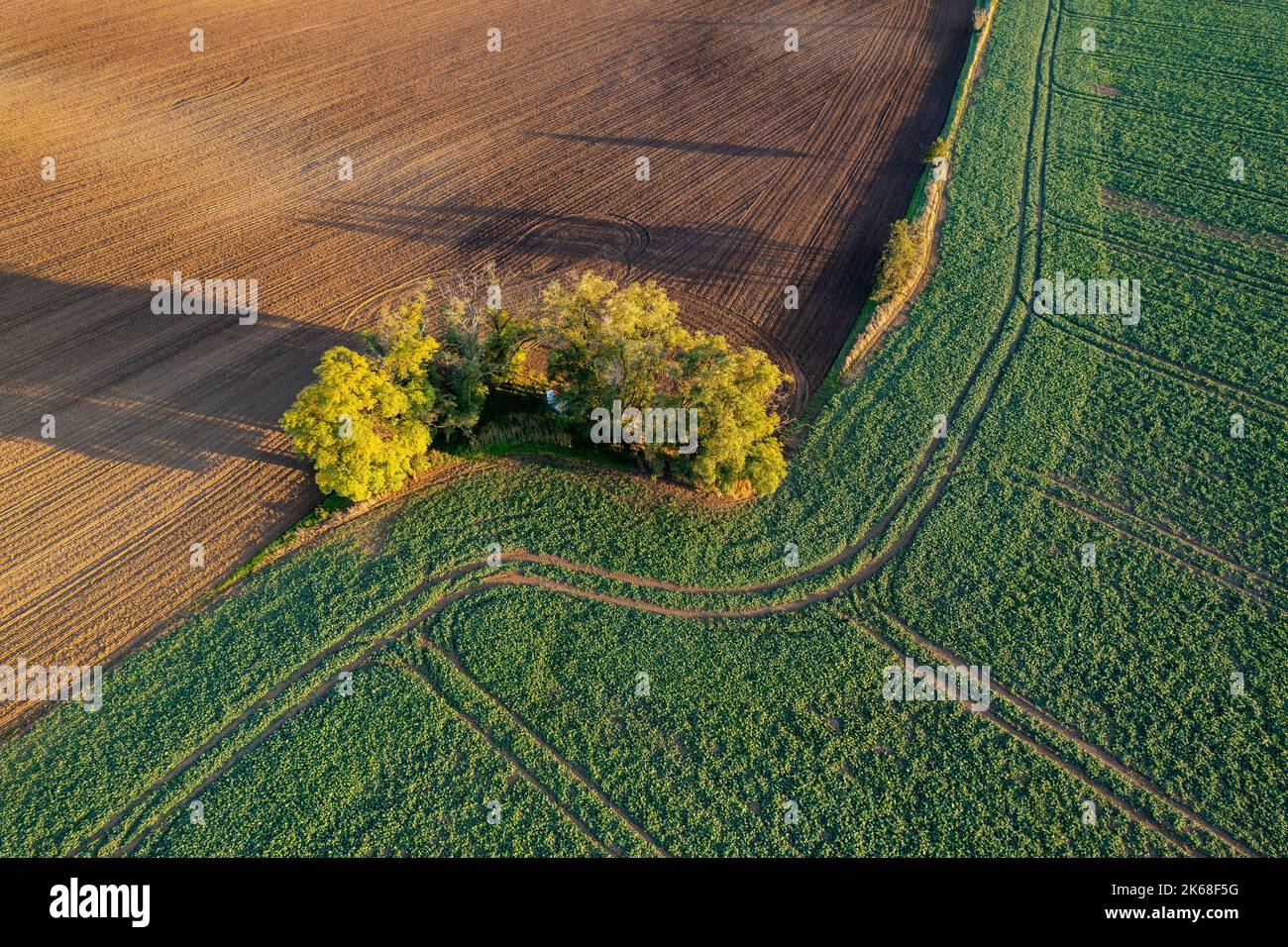 Herbstliche Ackerflächen und Bäume in Böhmisch-Mähren von oben gesehen, Muster und Linien auf dem Boden, Drohnenfotografie Stockfoto