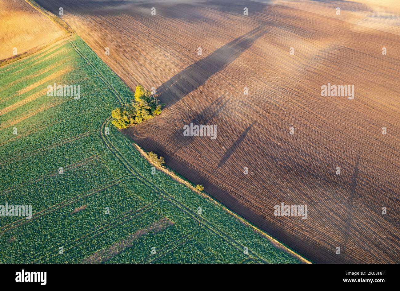 Herbstliche Ackerflächen und Bäume in Böhmisch-Mähren von oben gesehen, Muster und Linien auf dem Boden, Drohnenfotografie Stockfoto