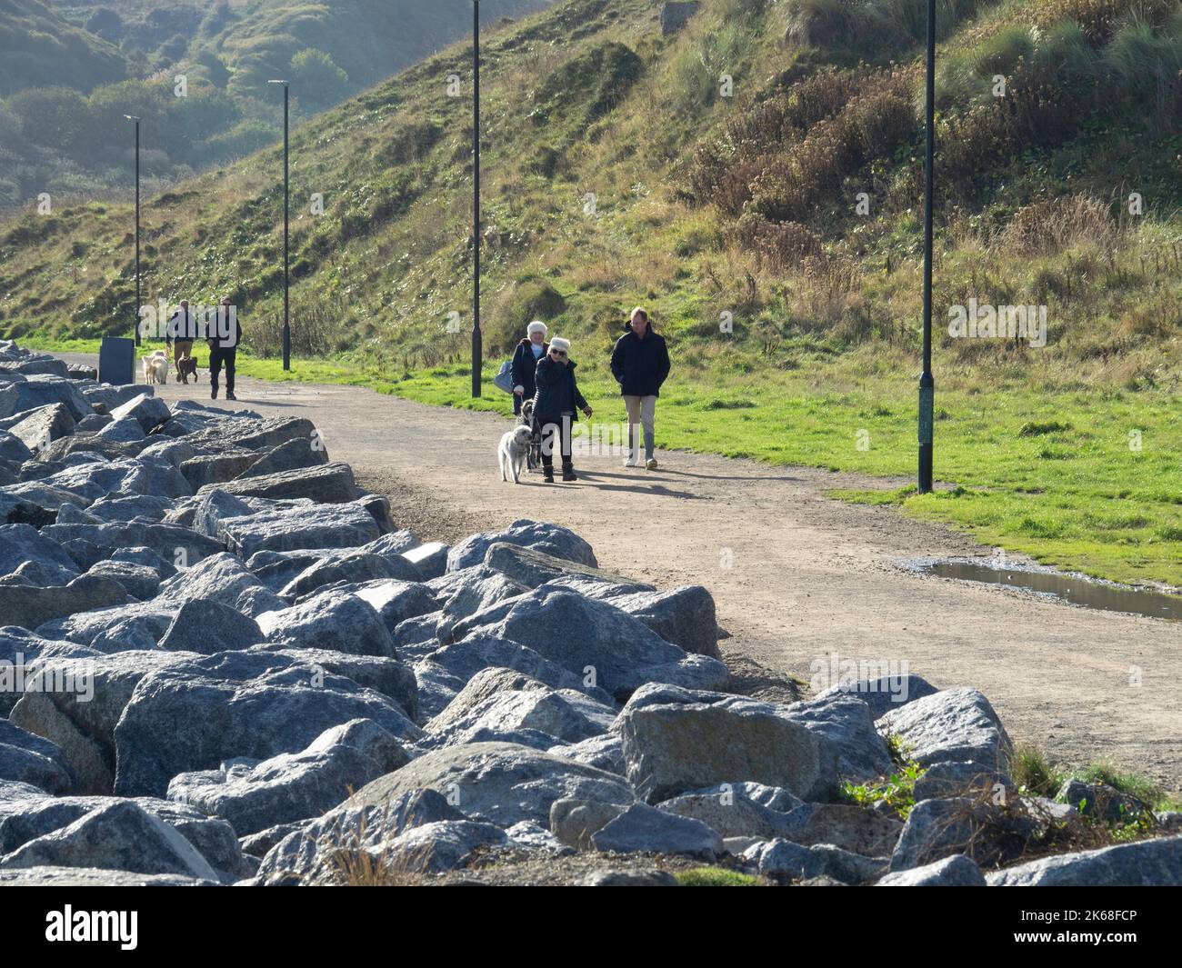 Familiengruppen bei Skinningrove auf dem Weg vom Parkplatz mit Hunden zum trainieren Stockfoto