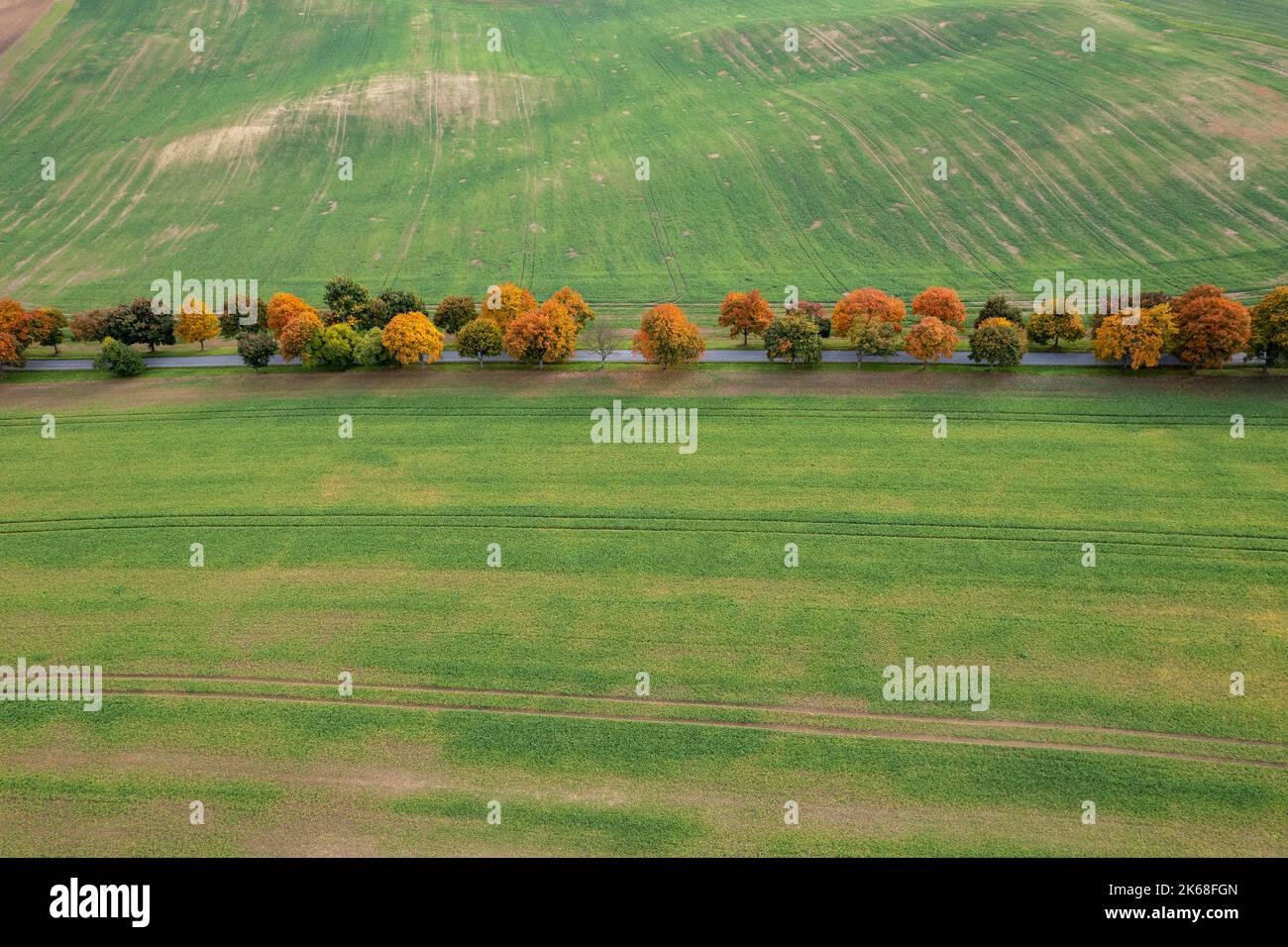 Herbstliche Ackerflächen und Bäume in Böhmisch-Mähren von oben gesehen, Muster und Linien auf dem Boden, Drohnenfotografie Stockfoto