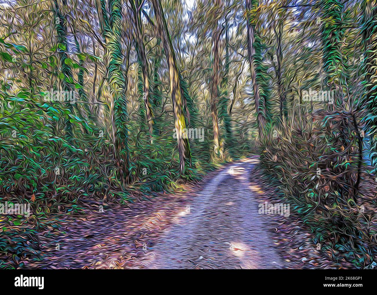 Feldweg in Lomellina während eines nassen Herbstes Stockfoto