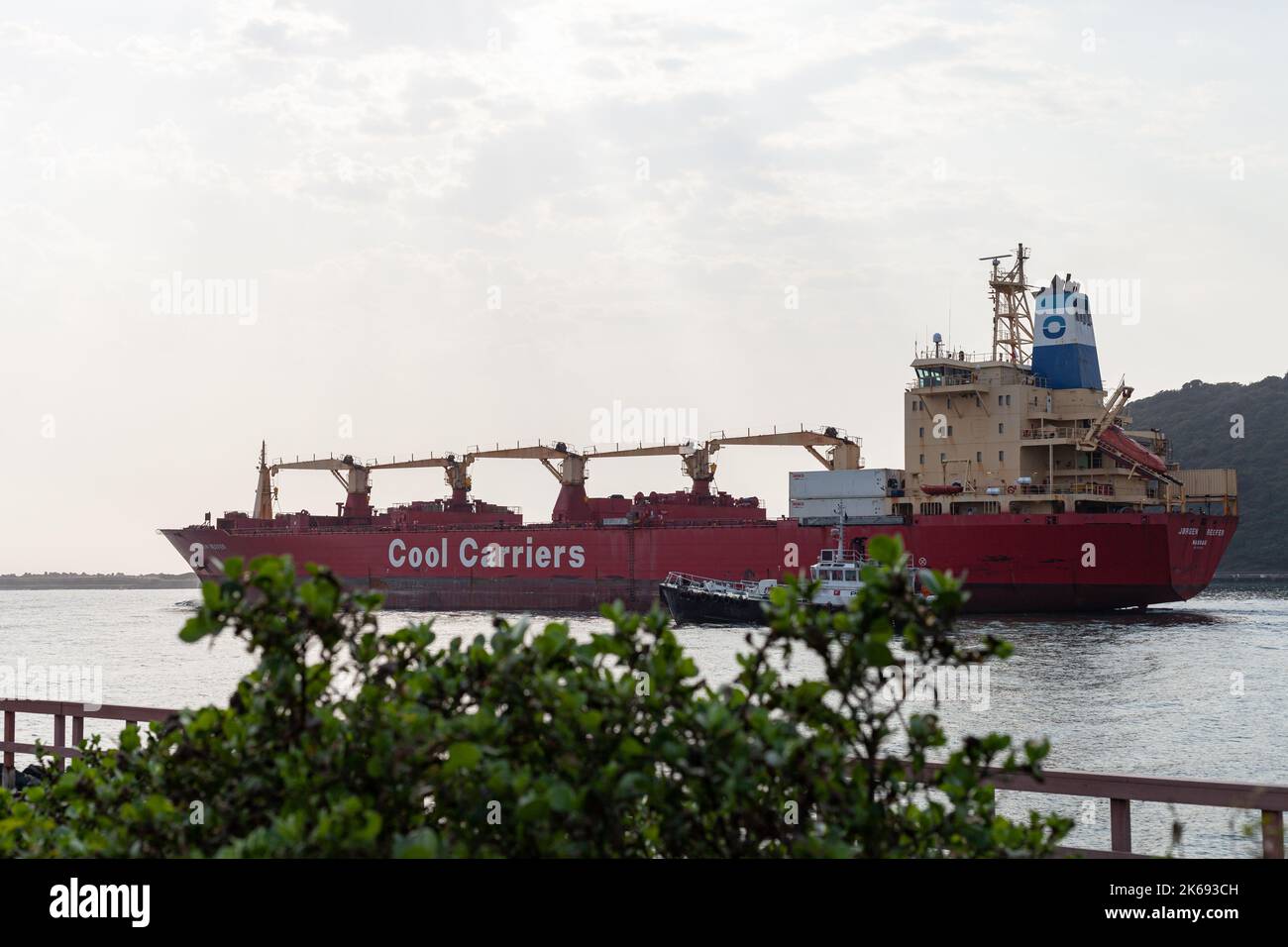 Ein Kühlschiff, das Durban an einem Frühlingsmorgen verlässt. Stockfoto