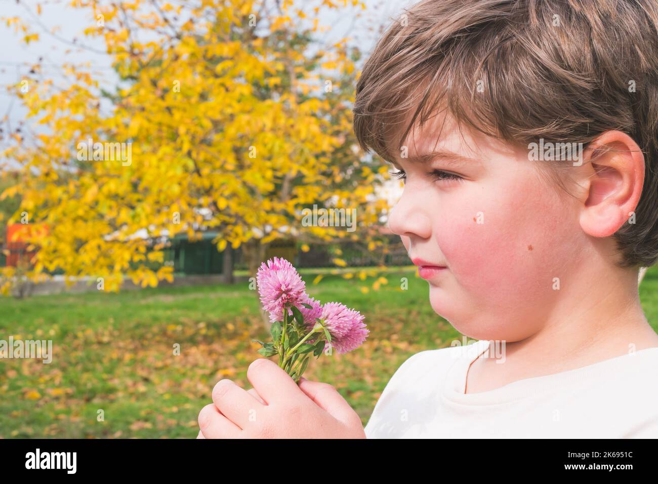 Kind, Junge, die während der Herbstsaison im Garten nach Kleeblüten riechen. Das Kind hat eine lustige Zeit im Freien. Kinder Neugierde. Platz für Text kopieren. Stockfoto