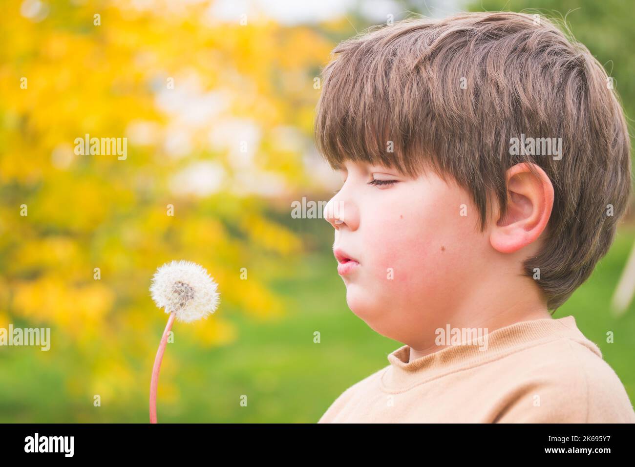 Junge bereit, die Samen von Dandelion in die Luft zu blasen. Porträt eines Kindes, das einen Dandelion hält. Platz für Text kopieren. Stockfoto