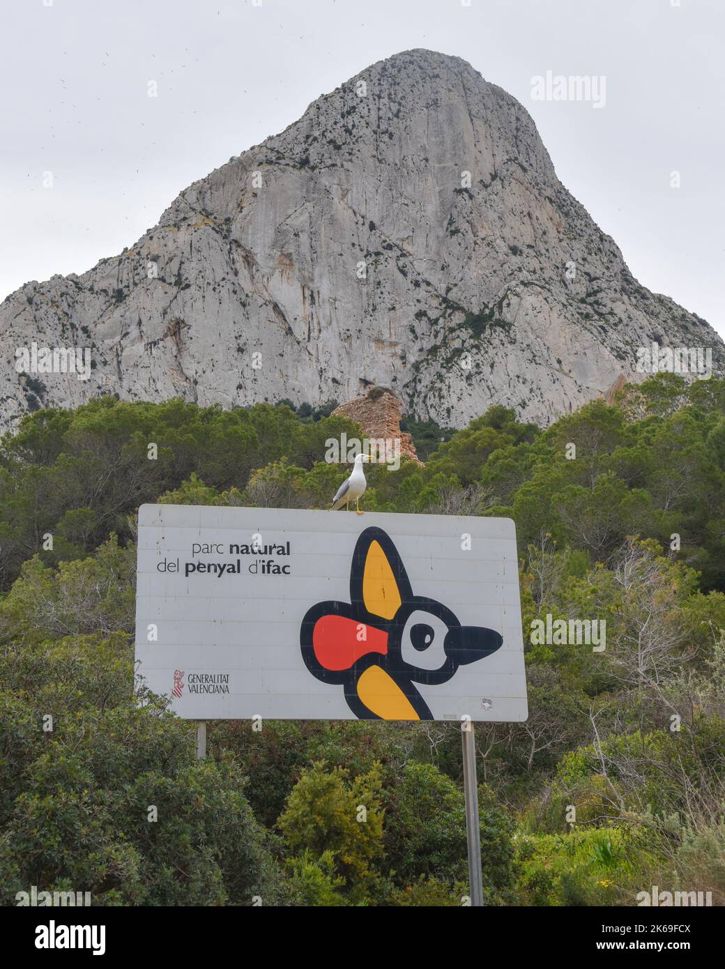 Parc Natural del Penyal de IFAC, Calpe, Spanien Stockfoto