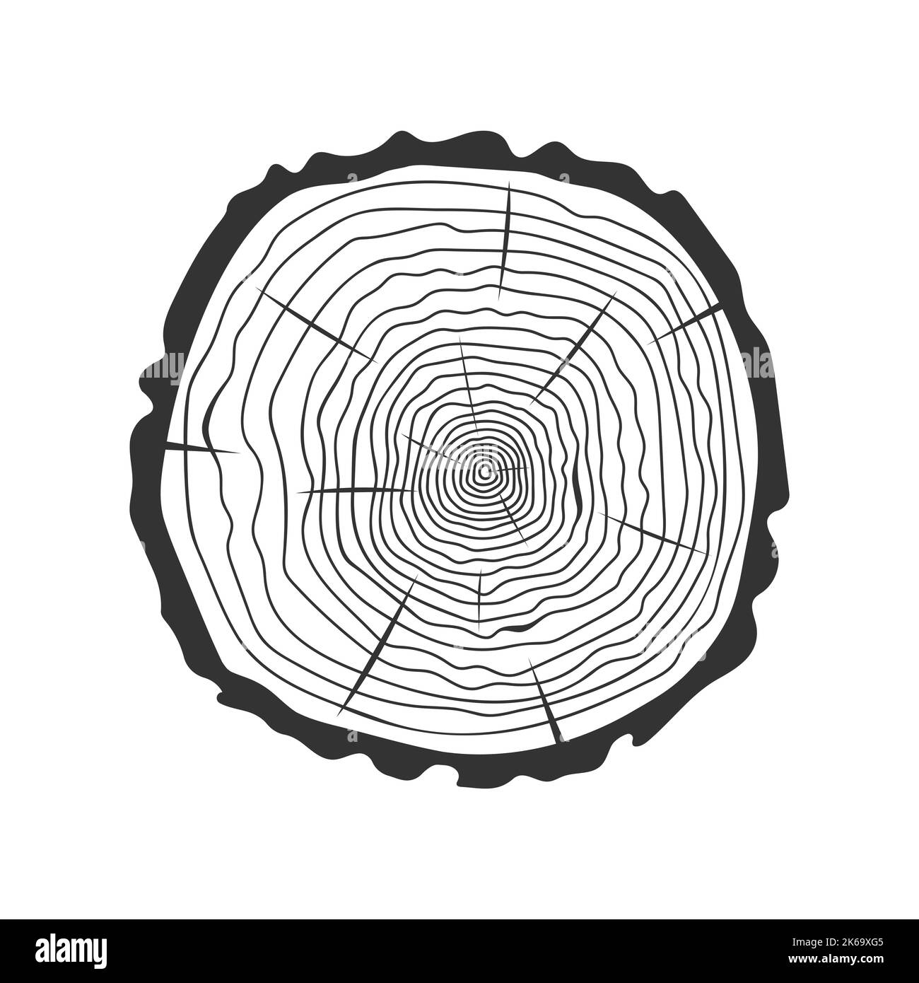 Stempel mit Baumringen. Stamm Querschnitt hölzerne Doodle Textur isoliert auf weißem Hintergrund. Dendrochronologie-Methode zur Bestimmung des Baumalters. Vektordarstellung Stock Vektor