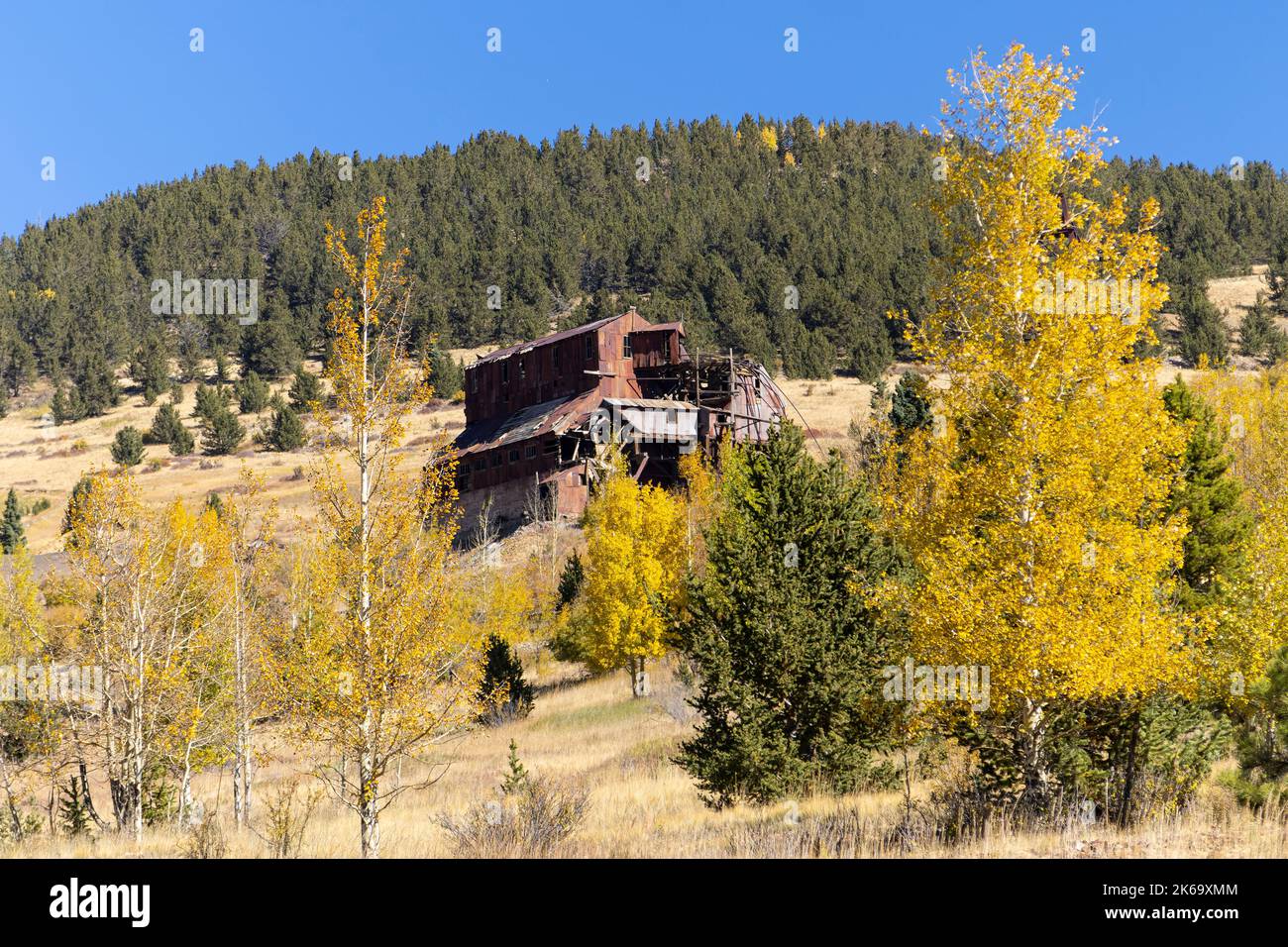 Aspen Blätter werden in einem beautul Victor Bergbaugebiet Herbst zu Gold. Stockfoto