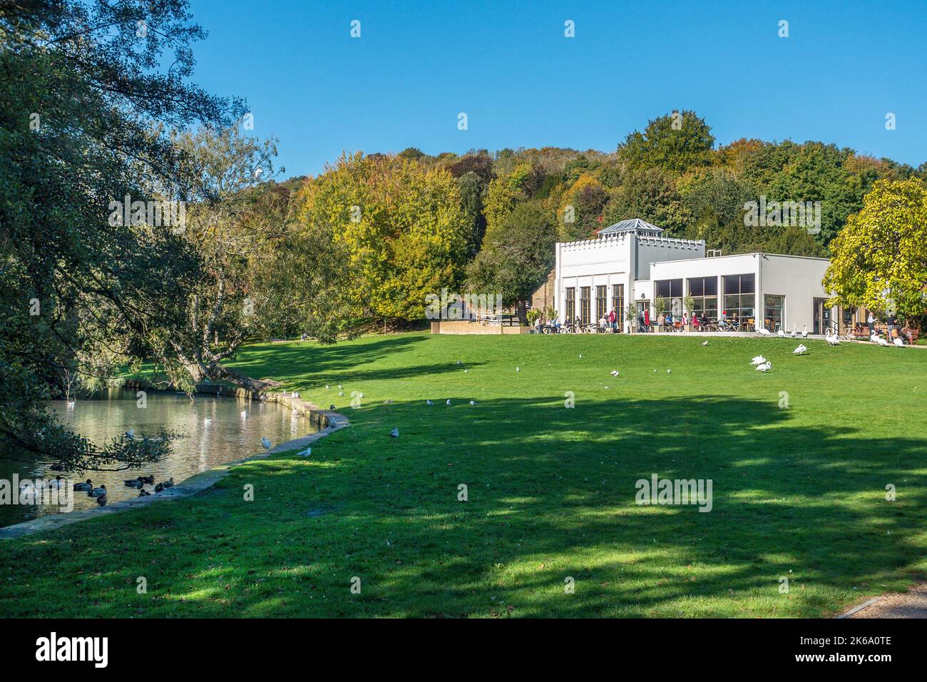 Kearsney Abbey Gardens, Park, Pavilion, Cafe, Lake, Swan, Kearsney, Dover, Kent, England, Großbritannien Stockfoto
