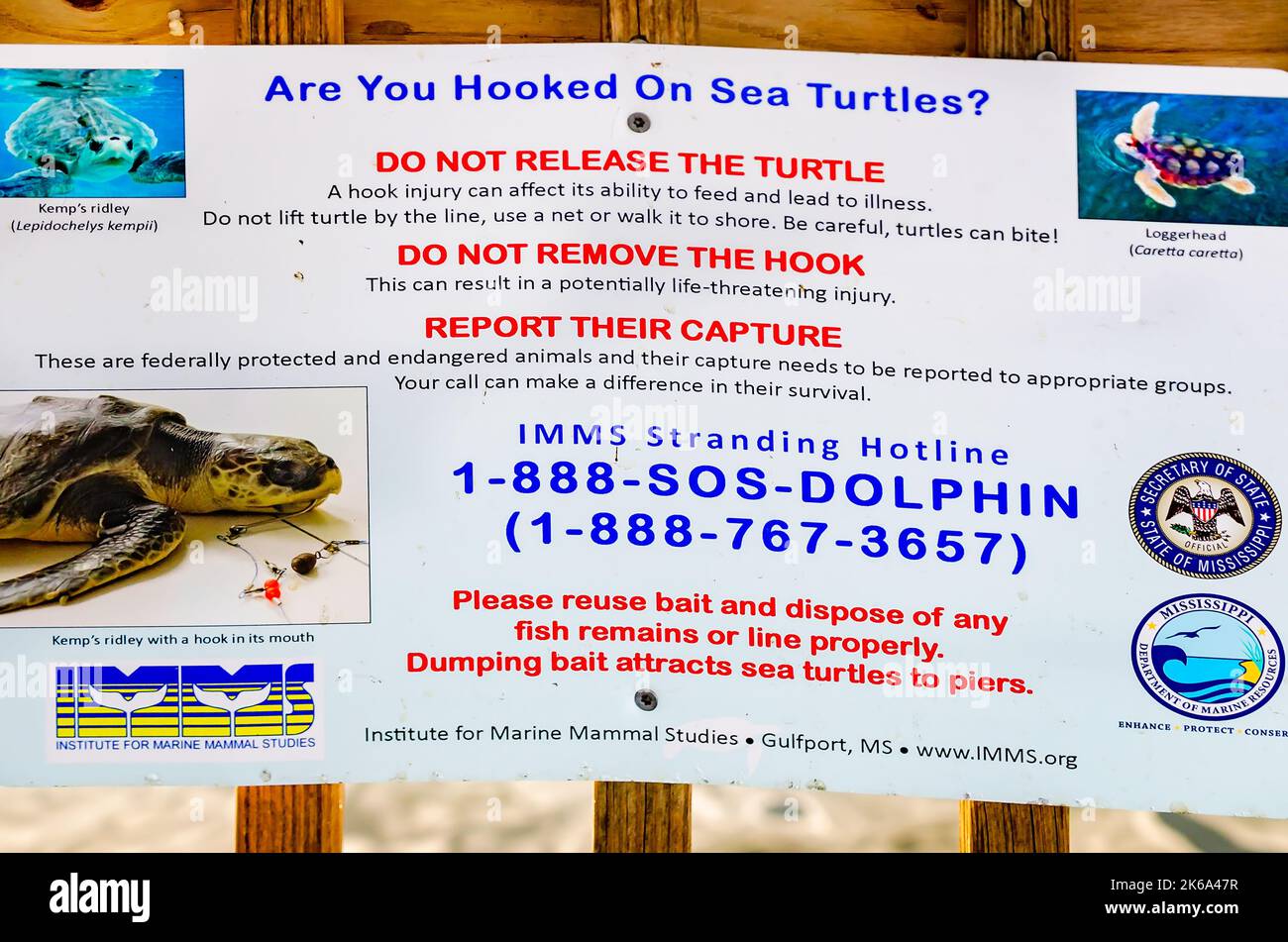 Schilder sagen Anglern, was zu tun ist, wenn sie einen Meeresschildkröte entlang des Pascagoula River im Lighthouse Park fangen, 4. Oktober 2022, in Pascagoula, Mississippi. Stockfoto