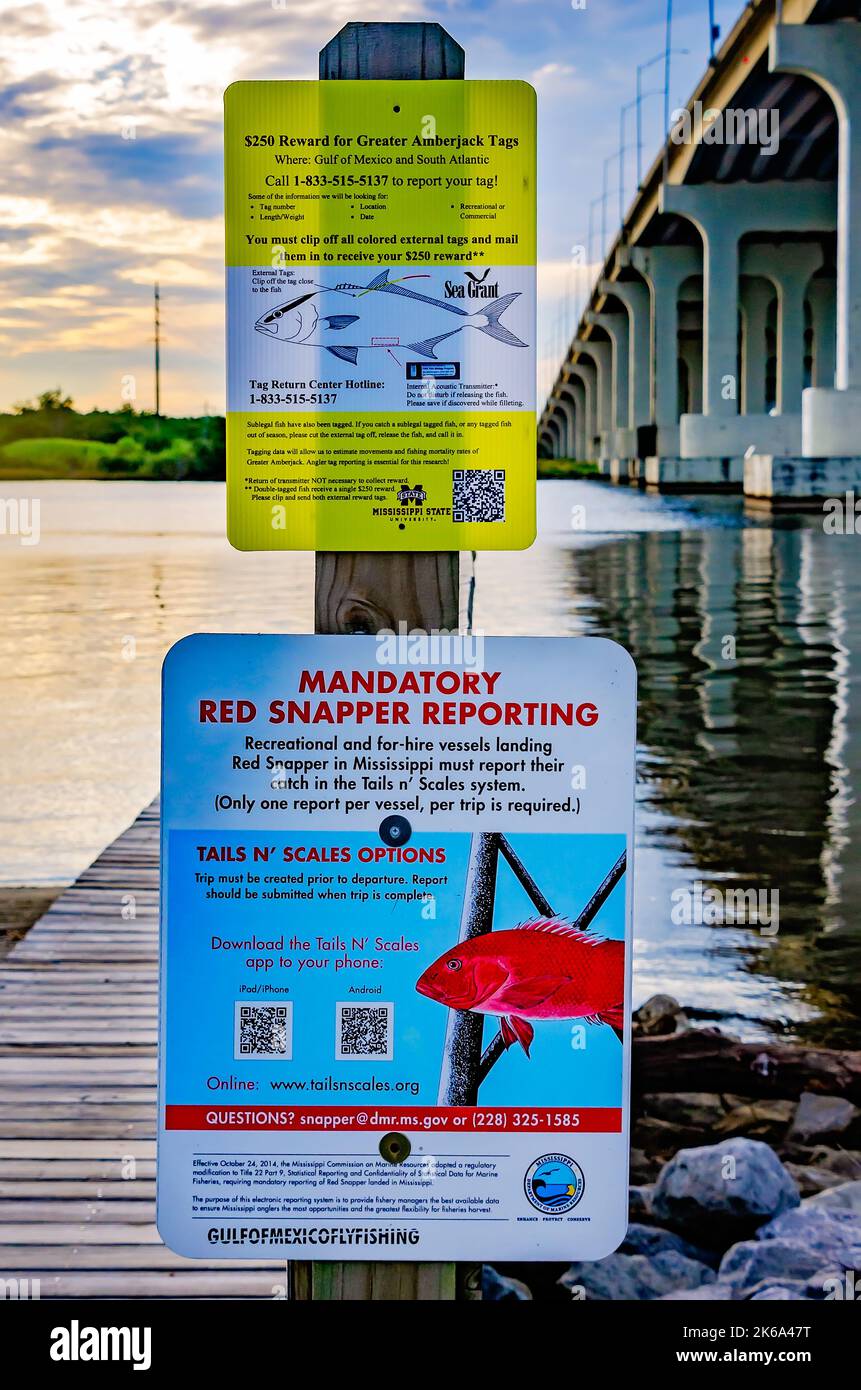 Schilder werben für Belohnungen für größere Amberjack-Tags und obligatorische Red Snapper-Meldungen entlang des Pascagoula River in Pascagoula, Mississippi. Stockfoto