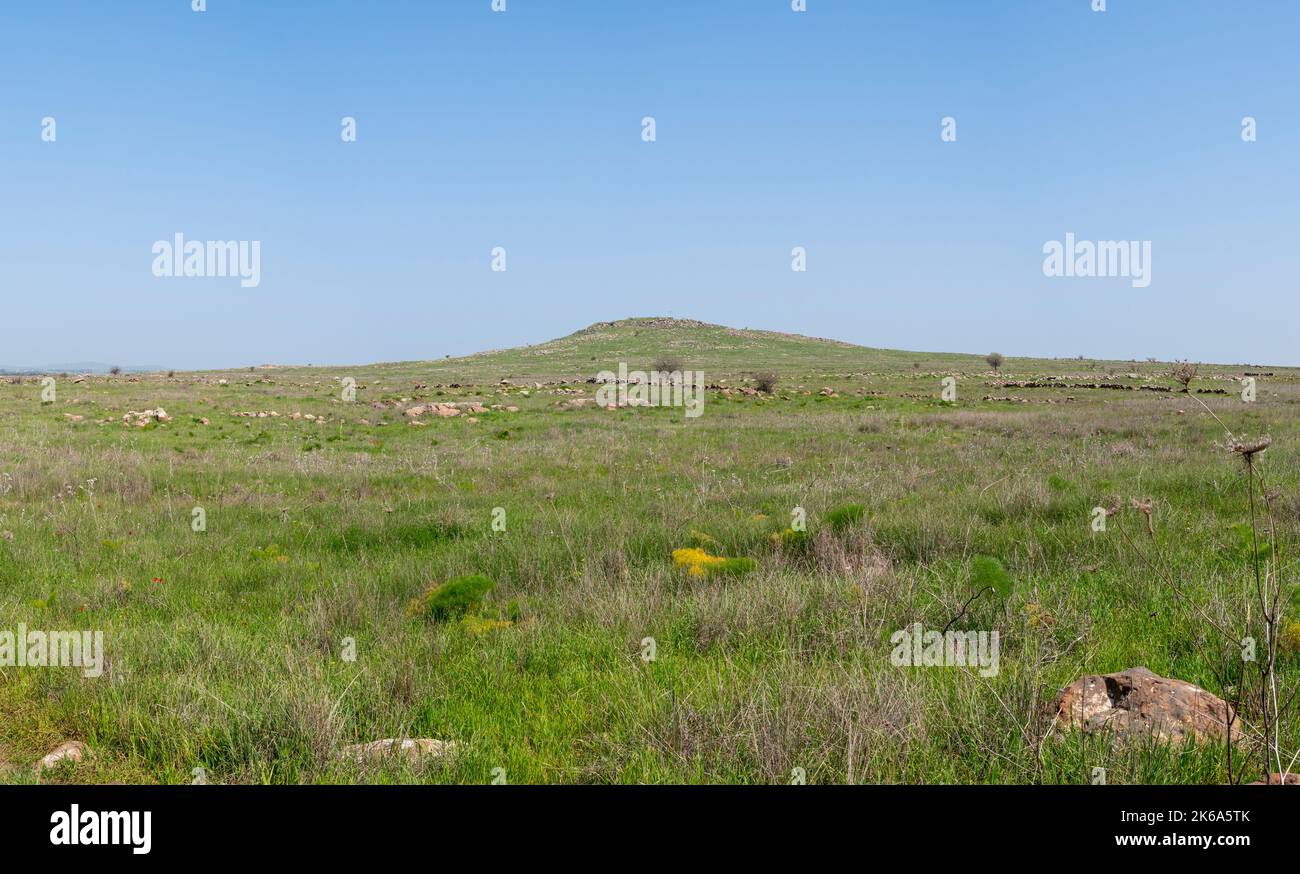 Grashügel in Israel, umgeben von felsigen grünen Feldern Stockfoto