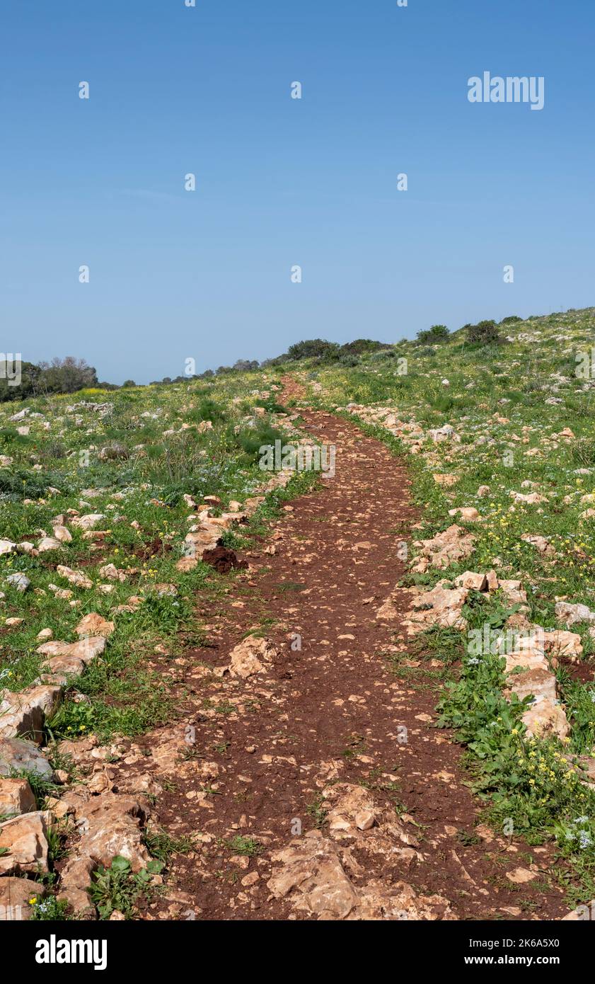 Felsiger Wanderweg, der über einen leuchtend grünen, üppigen Hang in Israel führt Stockfoto