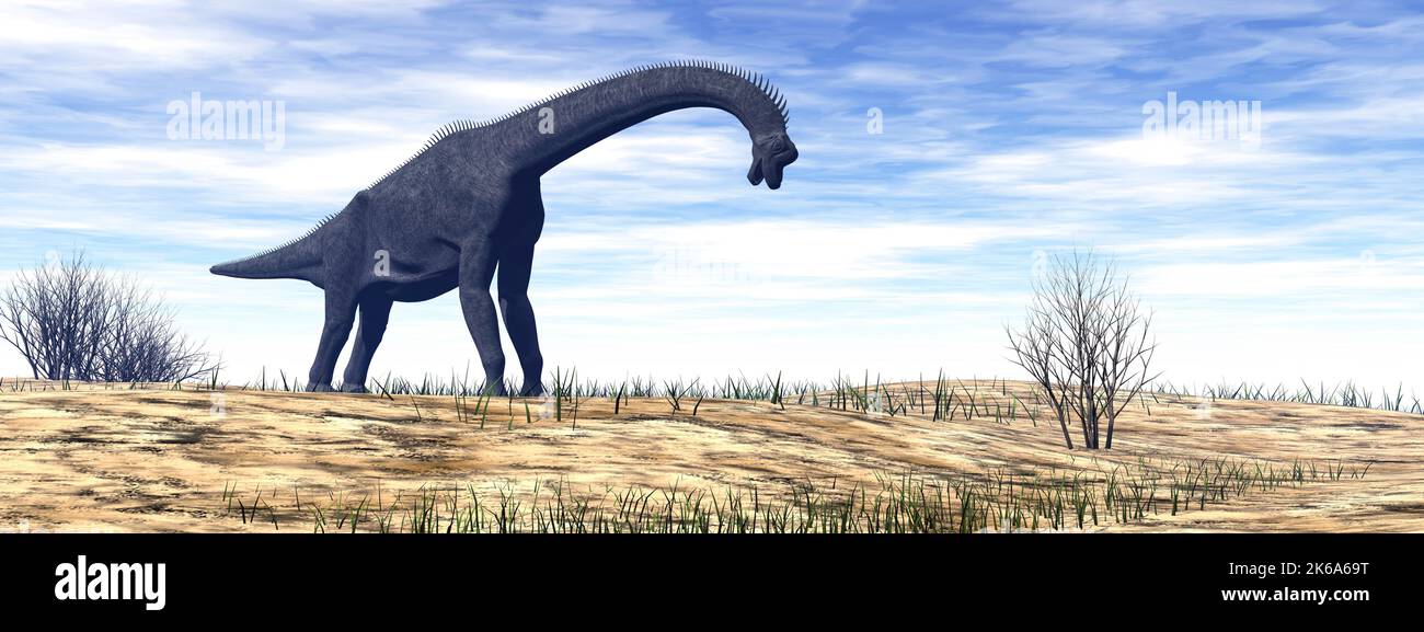 Dinosaurier Brachiosaurus, der tagsüber in der Wüste unterwegs ist. Stockfoto