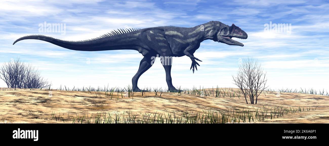 Allosaurus Dinosaurier, der tagsüber in der Wüste spazierengeht. Stockfoto