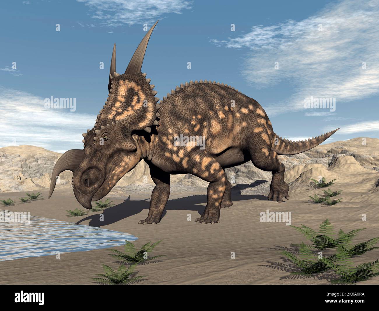 Einiosaurus Dinosaurier Trinkwasser in der Wüste bei Tag. Stockfoto