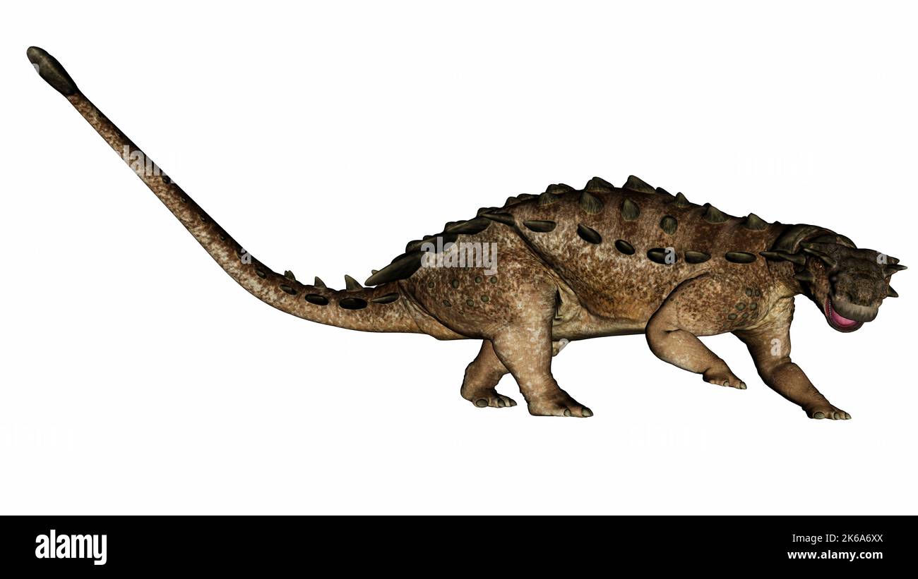 Der Dinosaurier Pinacosaurus schaut nach rechts, isoliert auf weißem Hintergrund. Stockfoto